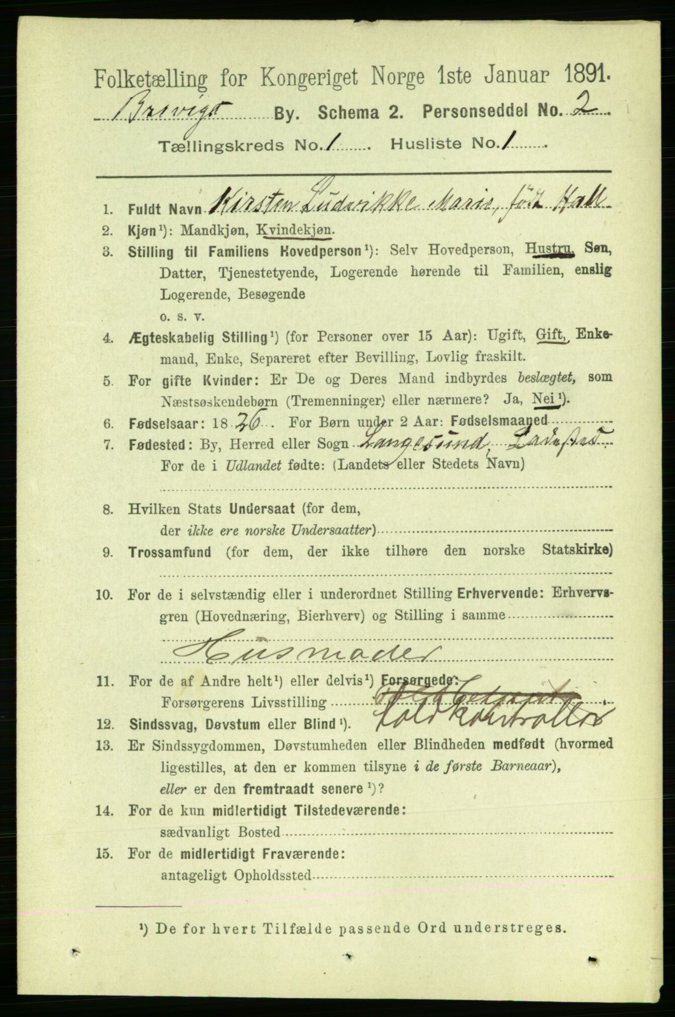 RA, 1891 census for 0804 Brevik, 1891, p. 809