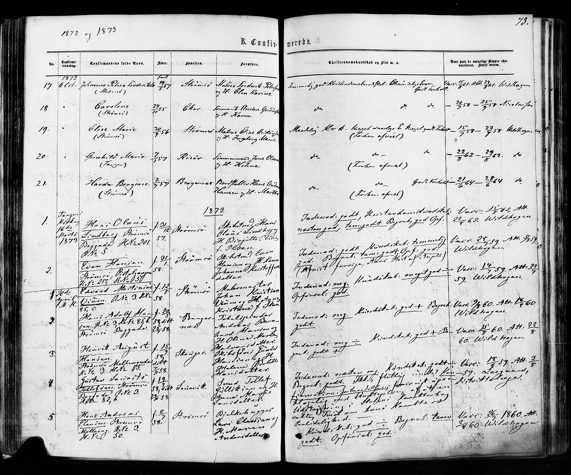 Strømsø kirkebøker, AV/SAKO-A-246/F/Fa/L0018: Parish register (official) no. I 18, 1865-1878, p. 73