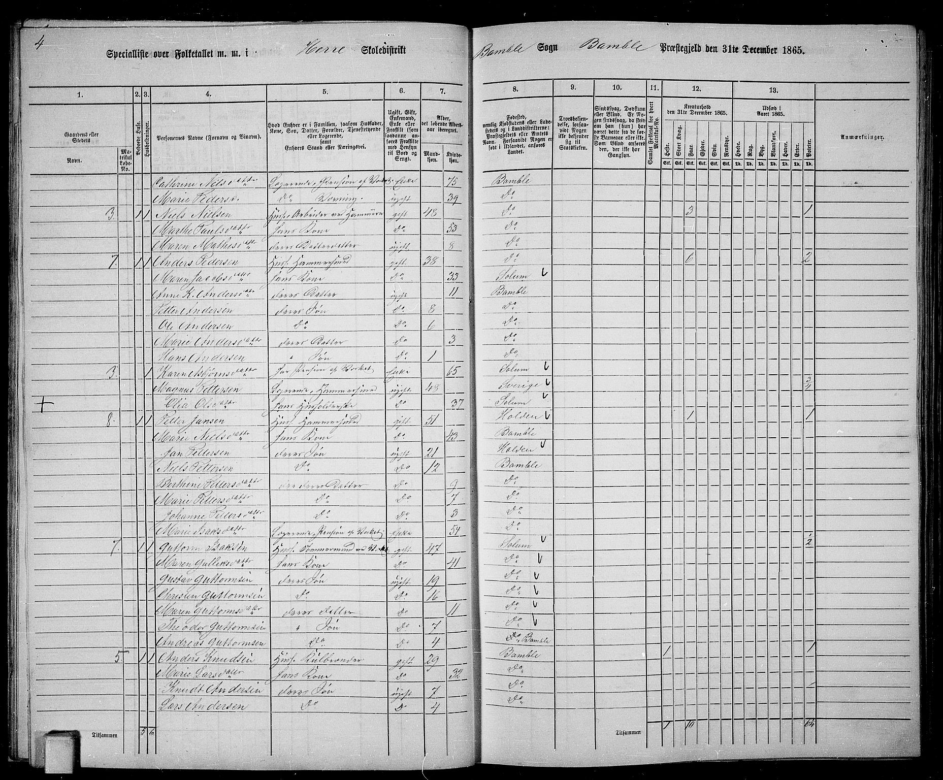 RA, 1865 census for Bamble, 1865, p. 30