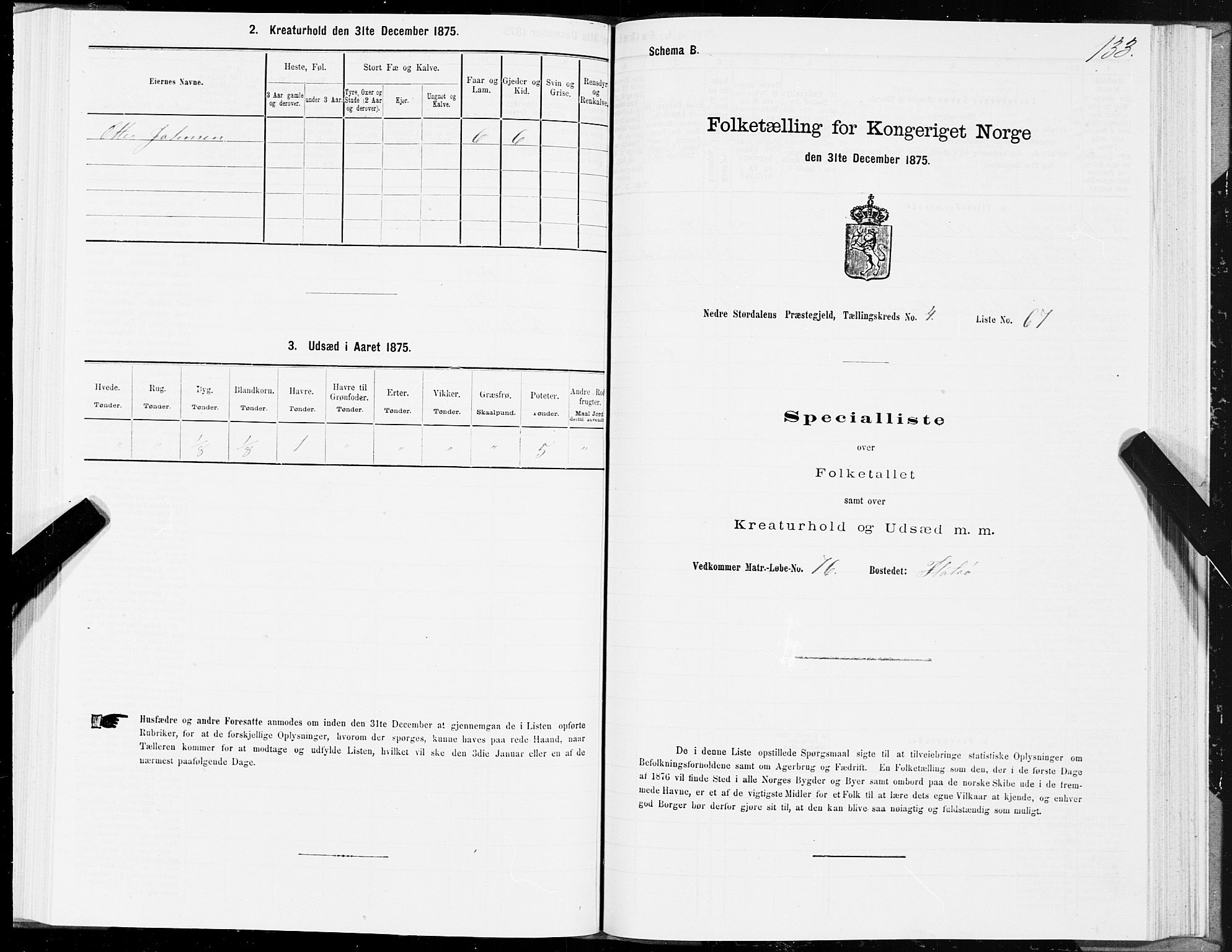 SAT, 1875 census for 1714P Nedre Stjørdal, 1875, p. 2133