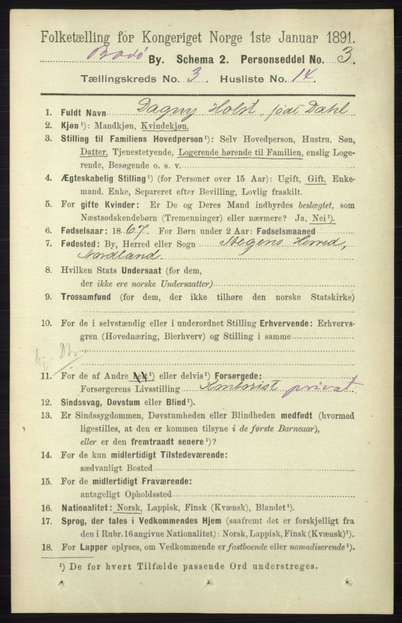 RA, 1891 census for 1804 Bodø, 1891, p. 2182