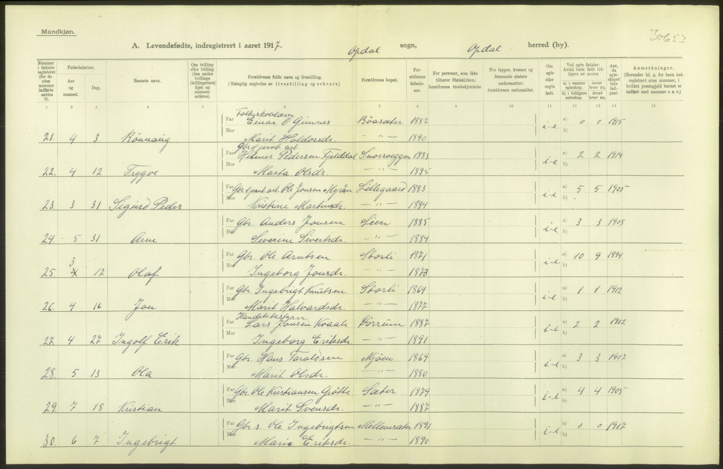 Statistisk sentralbyrå, Sosiodemografiske emner, Befolkning, AV/RA-S-2228/D/Df/Dfb/Dfbg/L0045: S. Trondheim amt: Levendefødte menn og kvinner. Bygder., 1917, p. 16