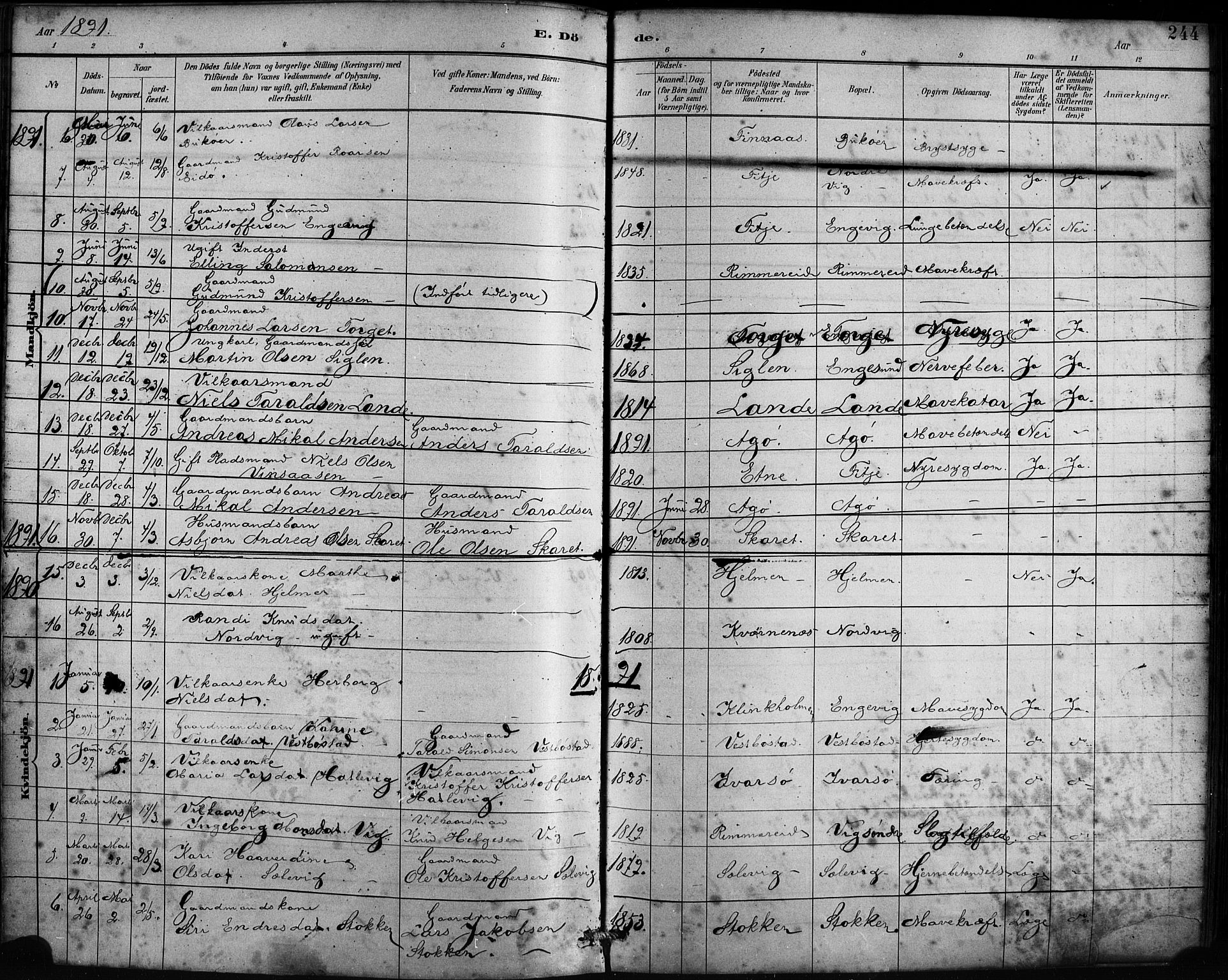 Fitjar sokneprestembete, AV/SAB-A-99926: Parish register (official) no. A 2, 1882-1899, p. 244