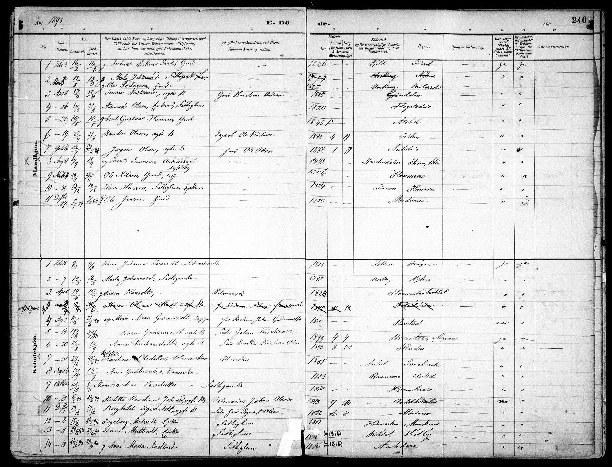 Nes prestekontor Kirkebøker, SAO/A-10410/F/Fc/L0002: Parish register (official) no. IIi 2, 1882-1916, p. 246