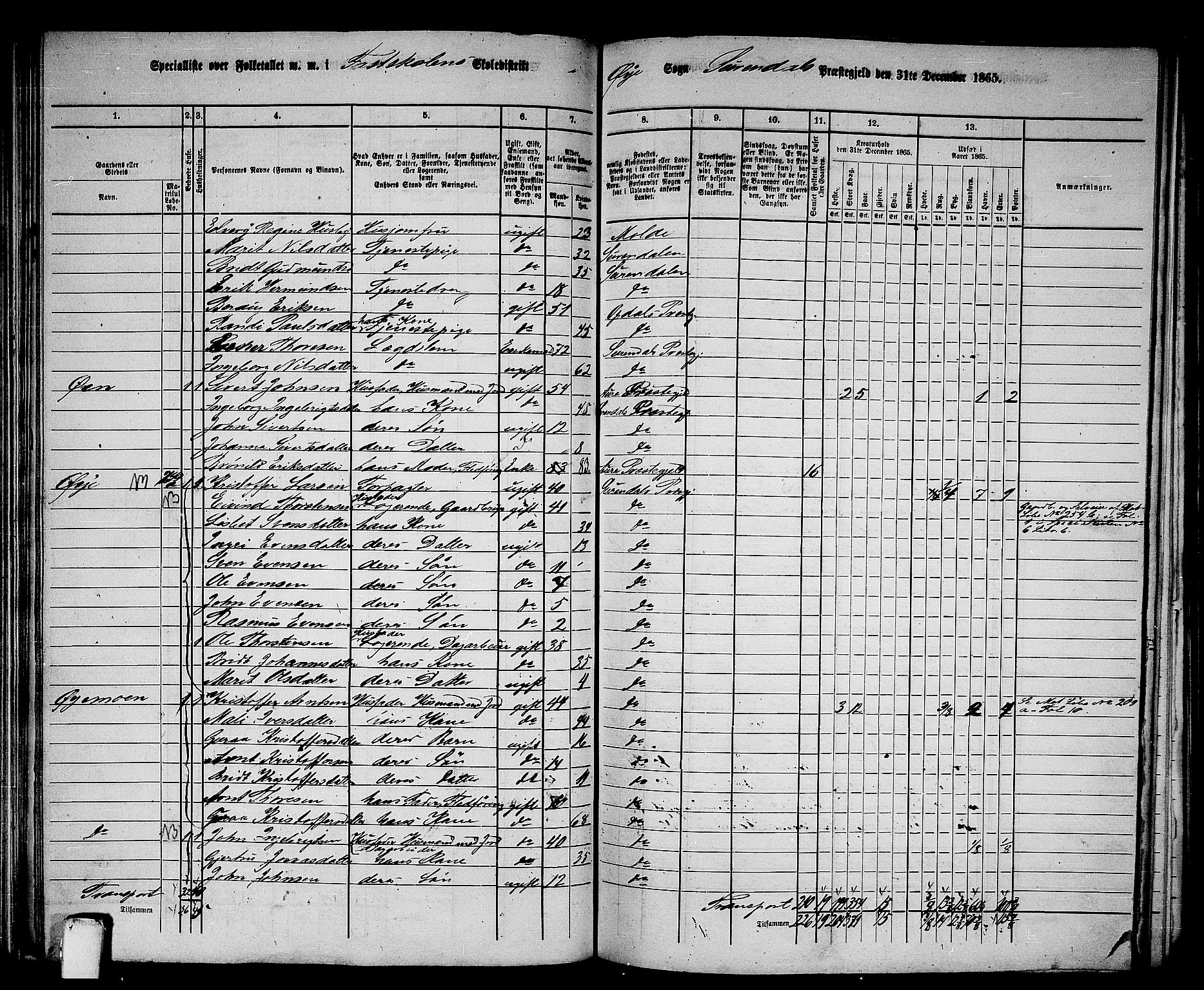 RA, 1865 census for Surnadal, 1865, p. 117