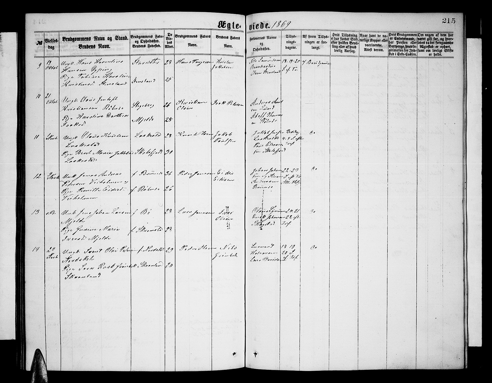 Ministerialprotokoller, klokkerbøker og fødselsregistre - Nordland, AV/SAT-A-1459/855/L0815: Parish register (copy) no. 855C04, 1865-1878, p. 215