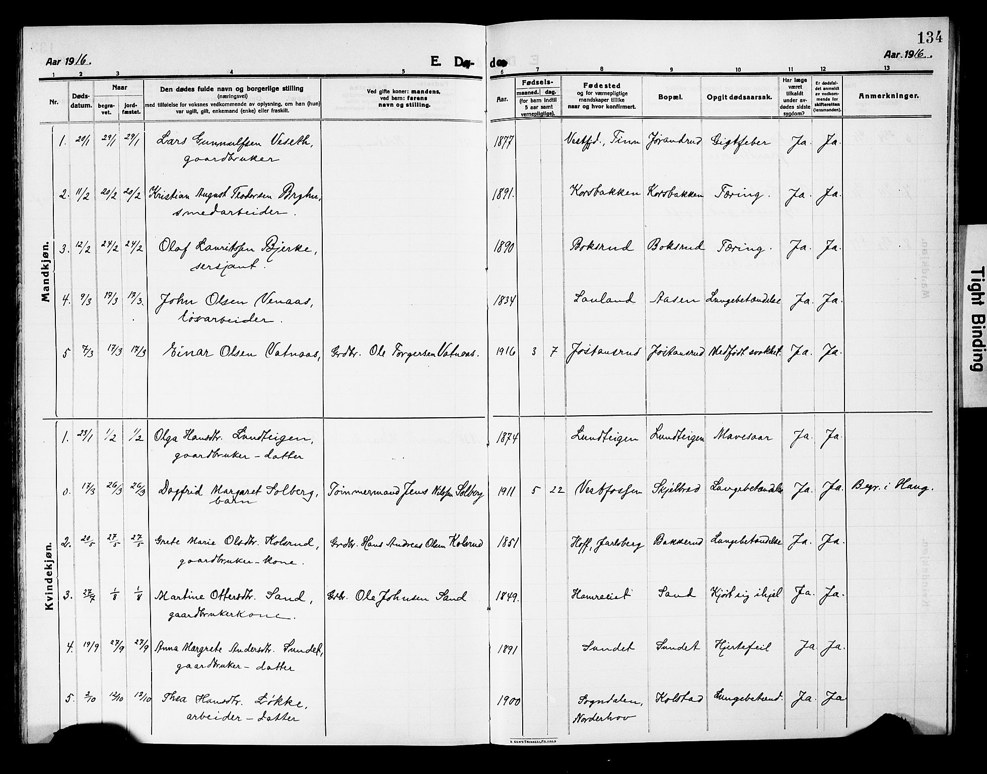 Fiskum kirkebøker, AV/SAKO-A-15/G/Ga/L0006: Parish register (copy) no. 6, 1913-1927, p. 134