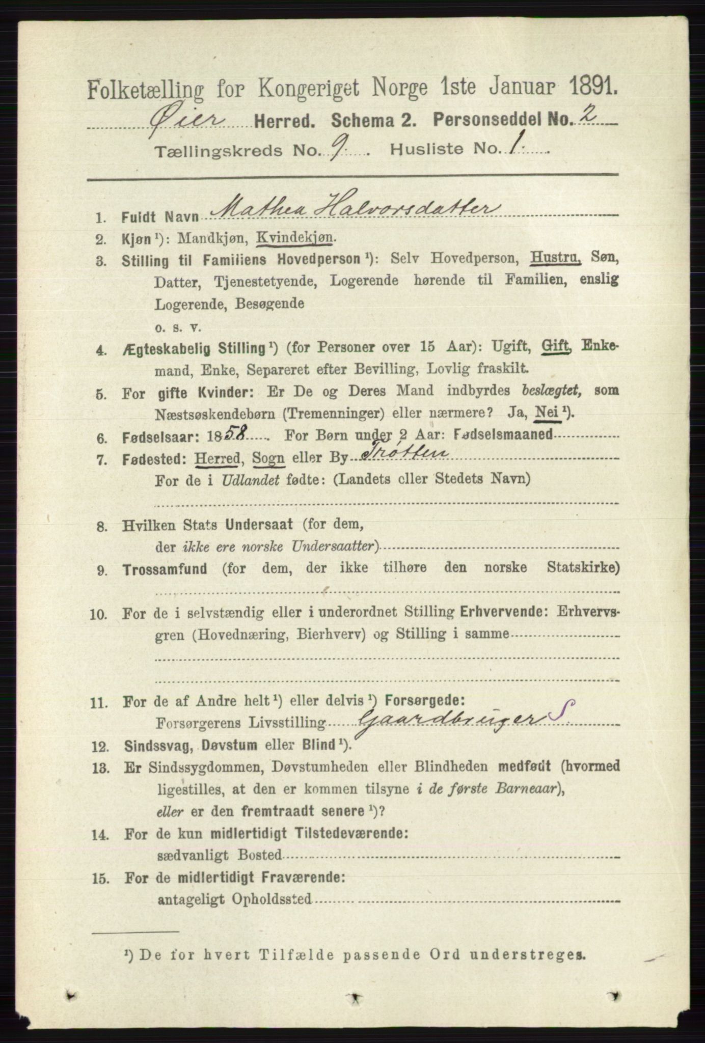 RA, 1891 census for 0521 Øyer, 1891, p. 3160