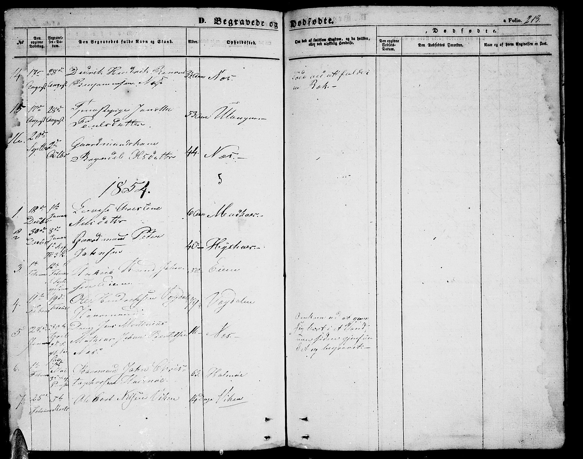 Ministerialprotokoller, klokkerbøker og fødselsregistre - Nordland, SAT/A-1459/816/L0251: Parish register (copy) no. 816C01, 1852-1870, p. 213