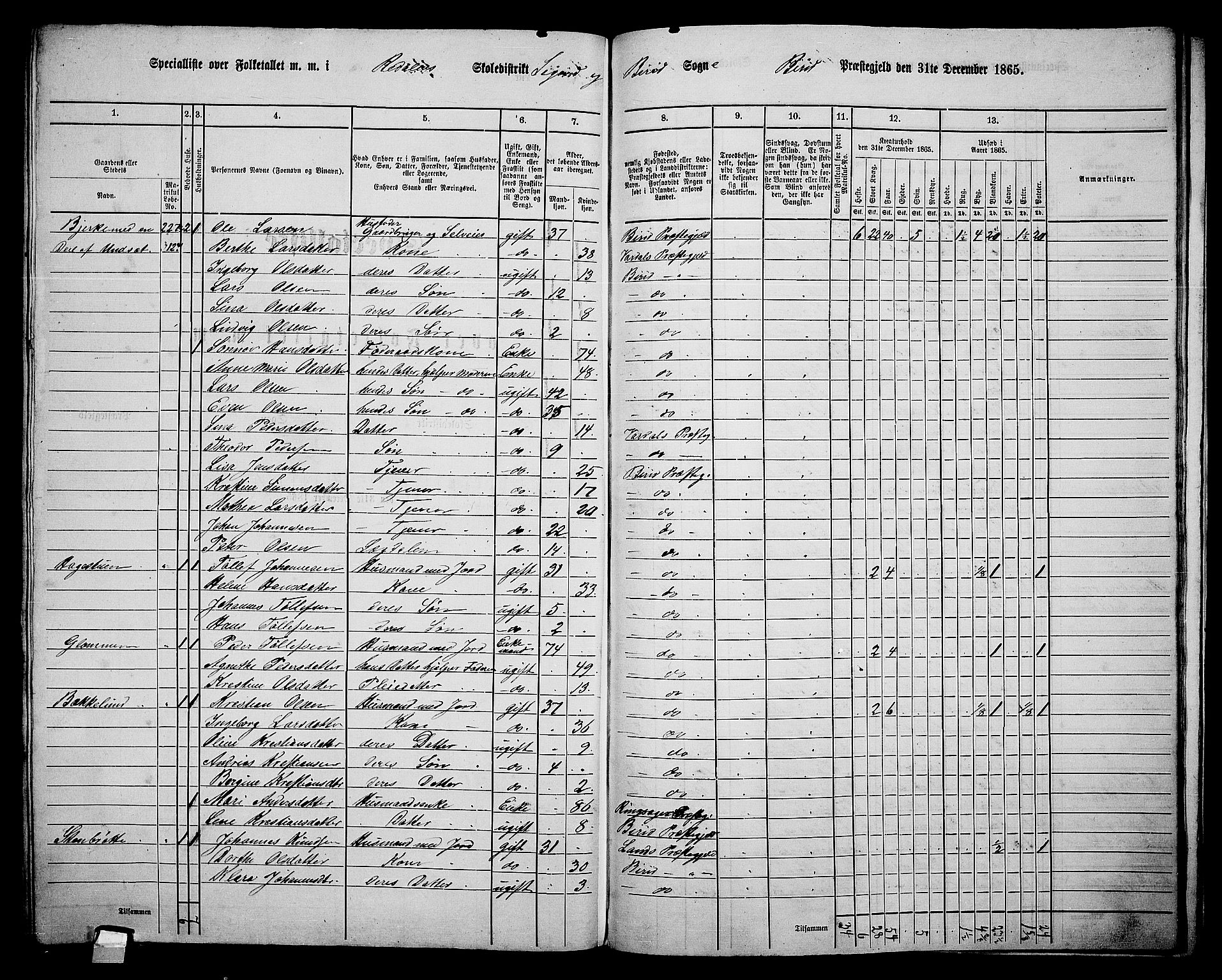 RA, 1865 census for Biri, 1865, p. 199