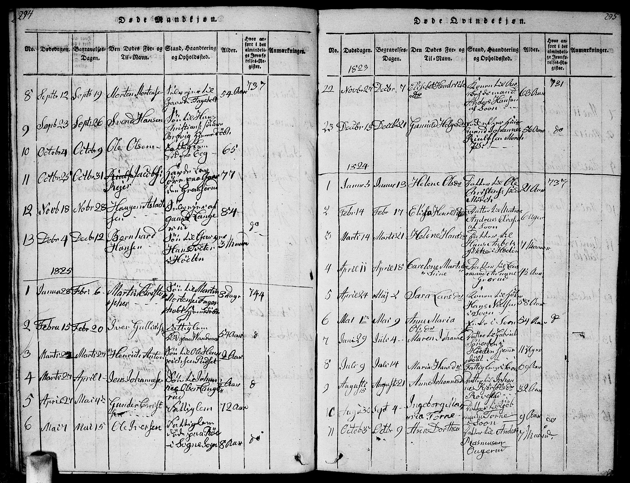 Vestby prestekontor Kirkebøker, SAO/A-10893/G/Ga/L0001: Parish register (copy) no. I 1, 1814-1827, p. 294-295