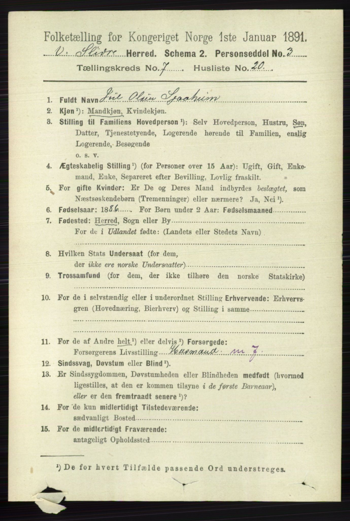 RA, 1891 census for 0543 Vestre Slidre, 1891, p. 2699