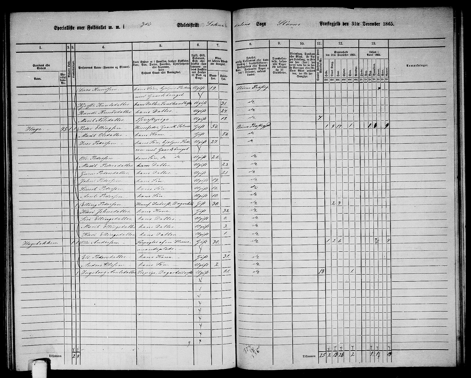 RA, 1865 census for Støren, 1865, p. 265