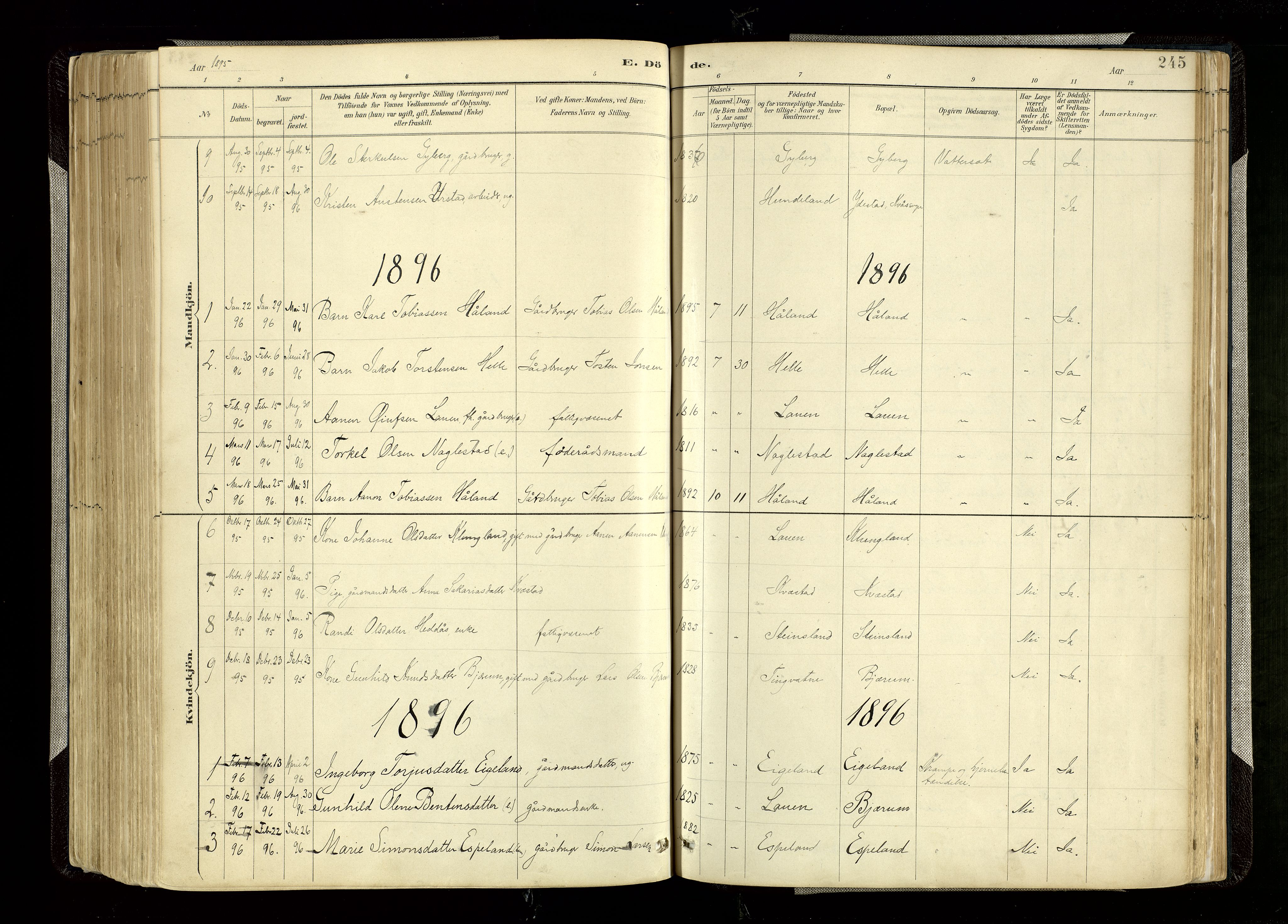 Hægebostad sokneprestkontor, SAK/1111-0024/F/Fa/Faa/L0006: Parish register (official) no. A 6, 1887-1929, p. 245