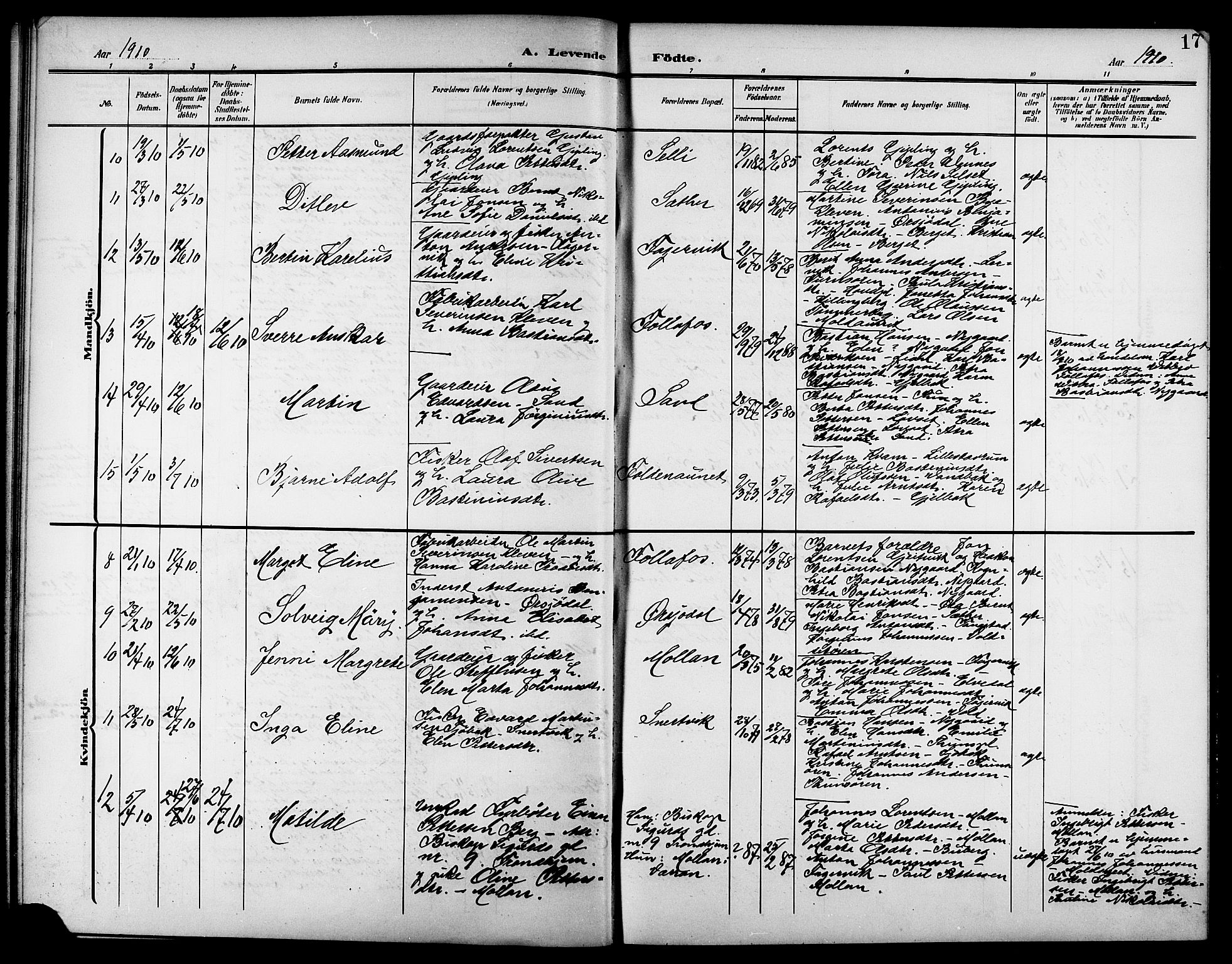 Ministerialprotokoller, klokkerbøker og fødselsregistre - Nord-Trøndelag, AV/SAT-A-1458/744/L0424: Parish register (copy) no. 744C03, 1906-1923, p. 17