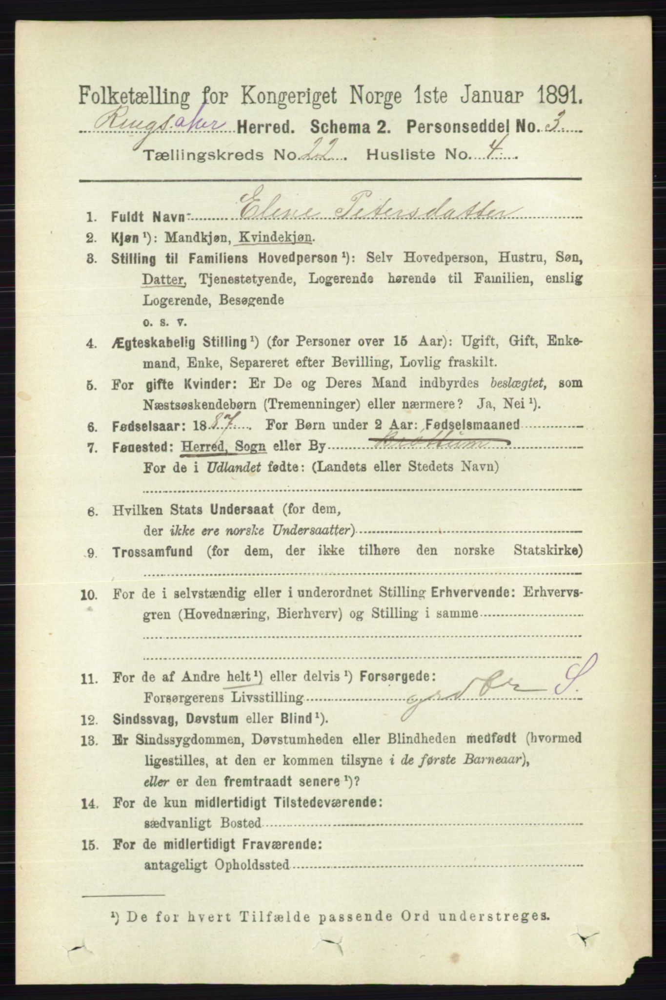 RA, 1891 census for 0412 Ringsaker, 1891, p. 12393