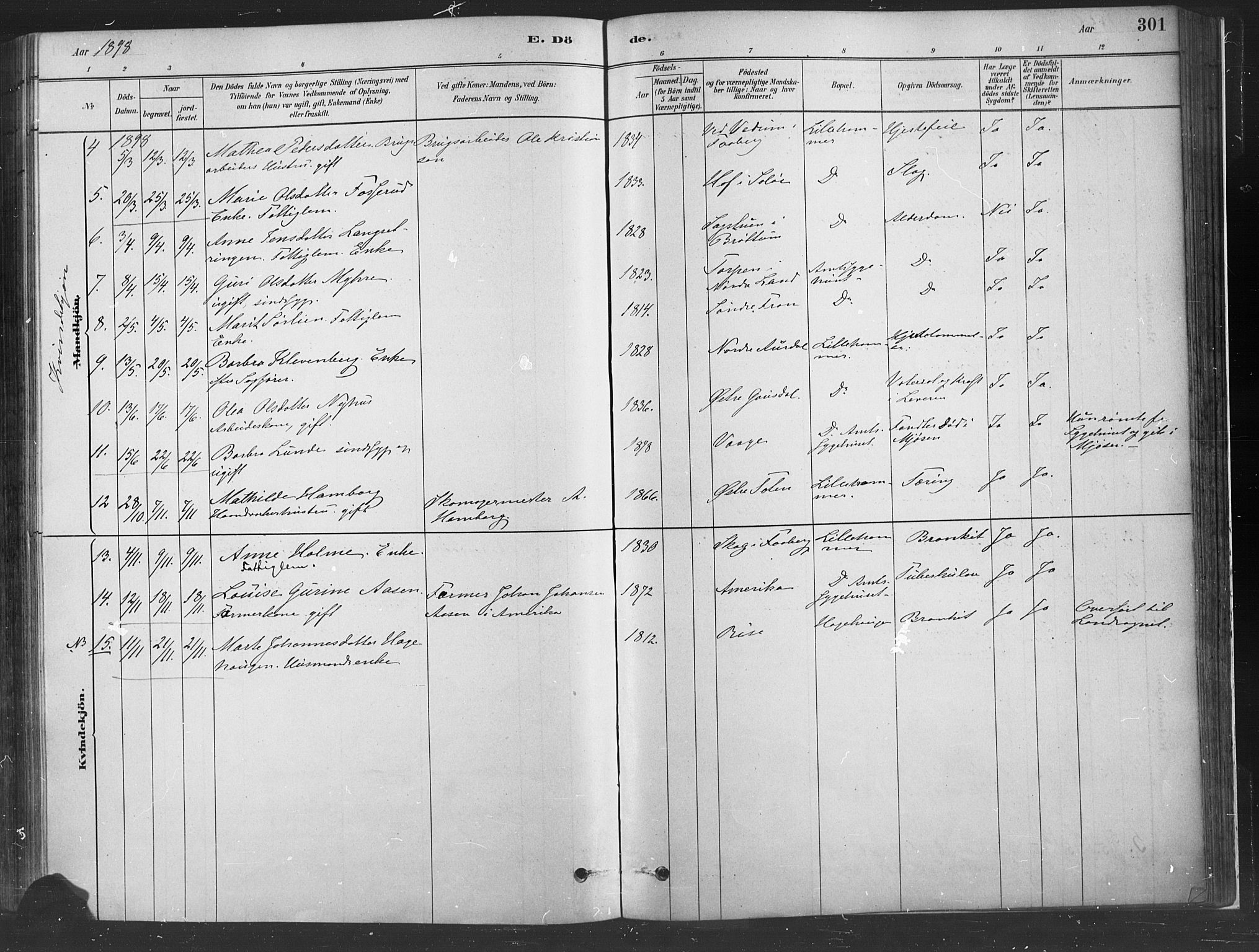 Fåberg prestekontor, SAH/PREST-086/H/Ha/Haa/L0010: Parish register (official) no. 10, 1879-1900, p. 301