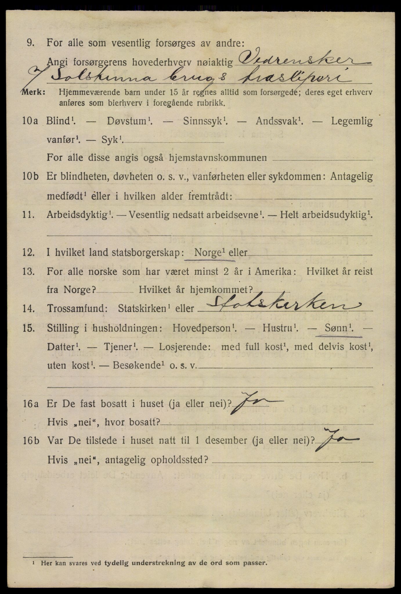 SAKO, 1920 census for Skien, 1920, p. 19499