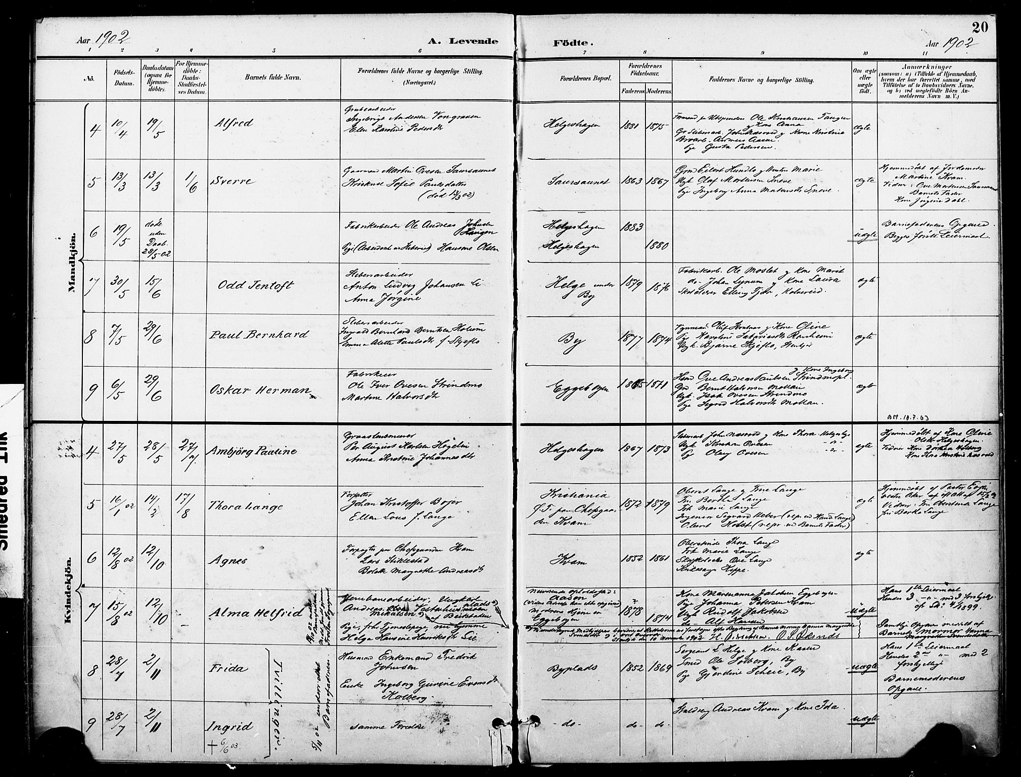 Ministerialprotokoller, klokkerbøker og fødselsregistre - Nord-Trøndelag, SAT/A-1458/740/L0379: Parish register (official) no. 740A02, 1895-1907, p. 20