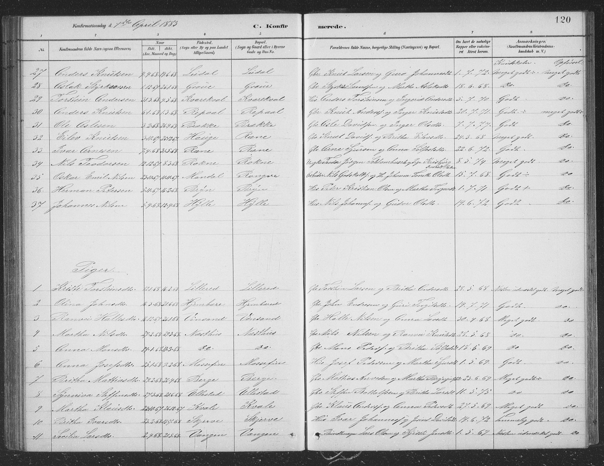 Voss sokneprestembete, AV/SAB-A-79001/H/Hab: Parish register (copy) no. B 3, 1879-1894, p. 120