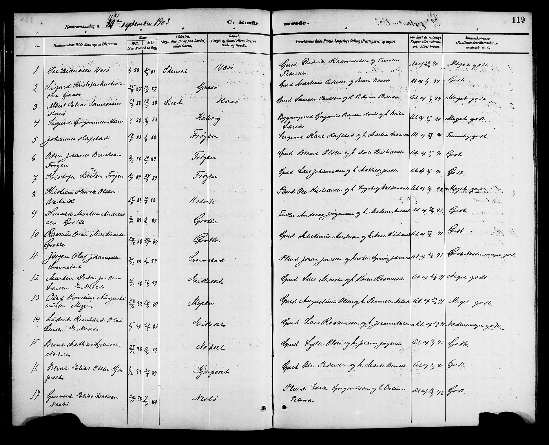 Bremanger sokneprestembete, SAB/A-82201/H/Hab/Haba/L0003: Parish register (copy) no. A 3, 1890-1908, p. 119