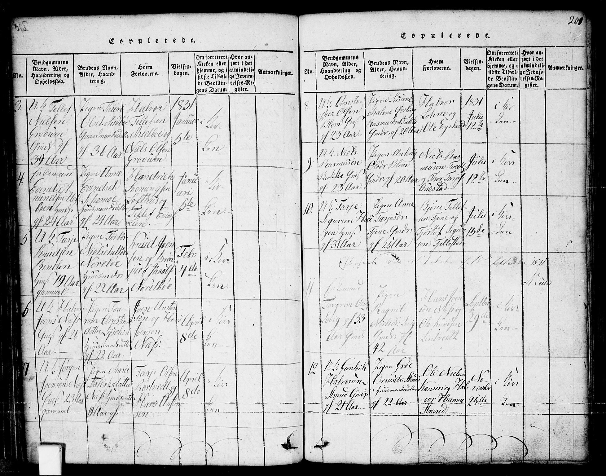 Nissedal kirkebøker, SAKO/A-288/G/Ga/L0001: Parish register (copy) no. I 1, 1814-1860, p. 201