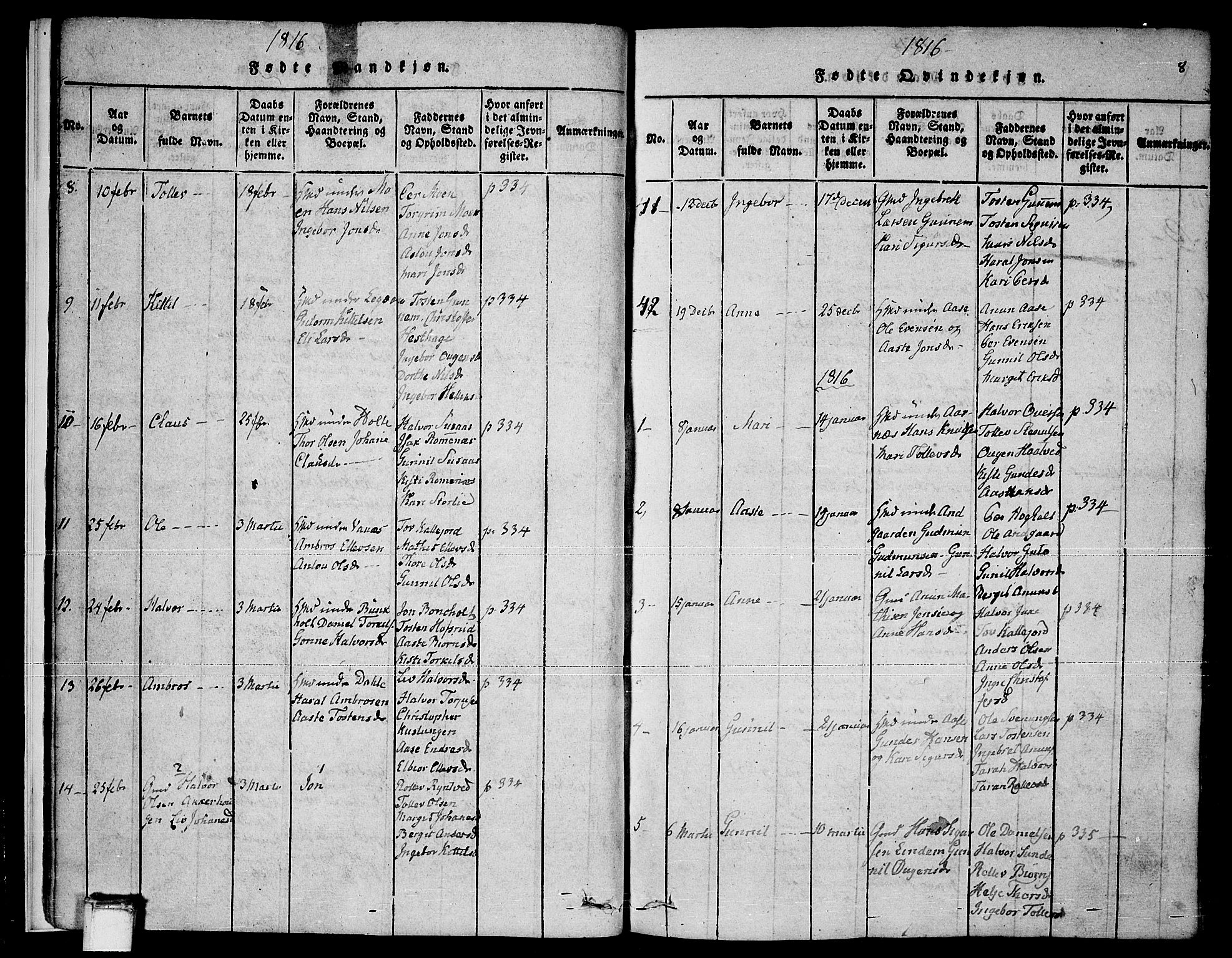 Sauherad kirkebøker, SAKO/A-298/F/Fa/L0005: Parish register (official) no. I 5, 1815-1829, p. 8