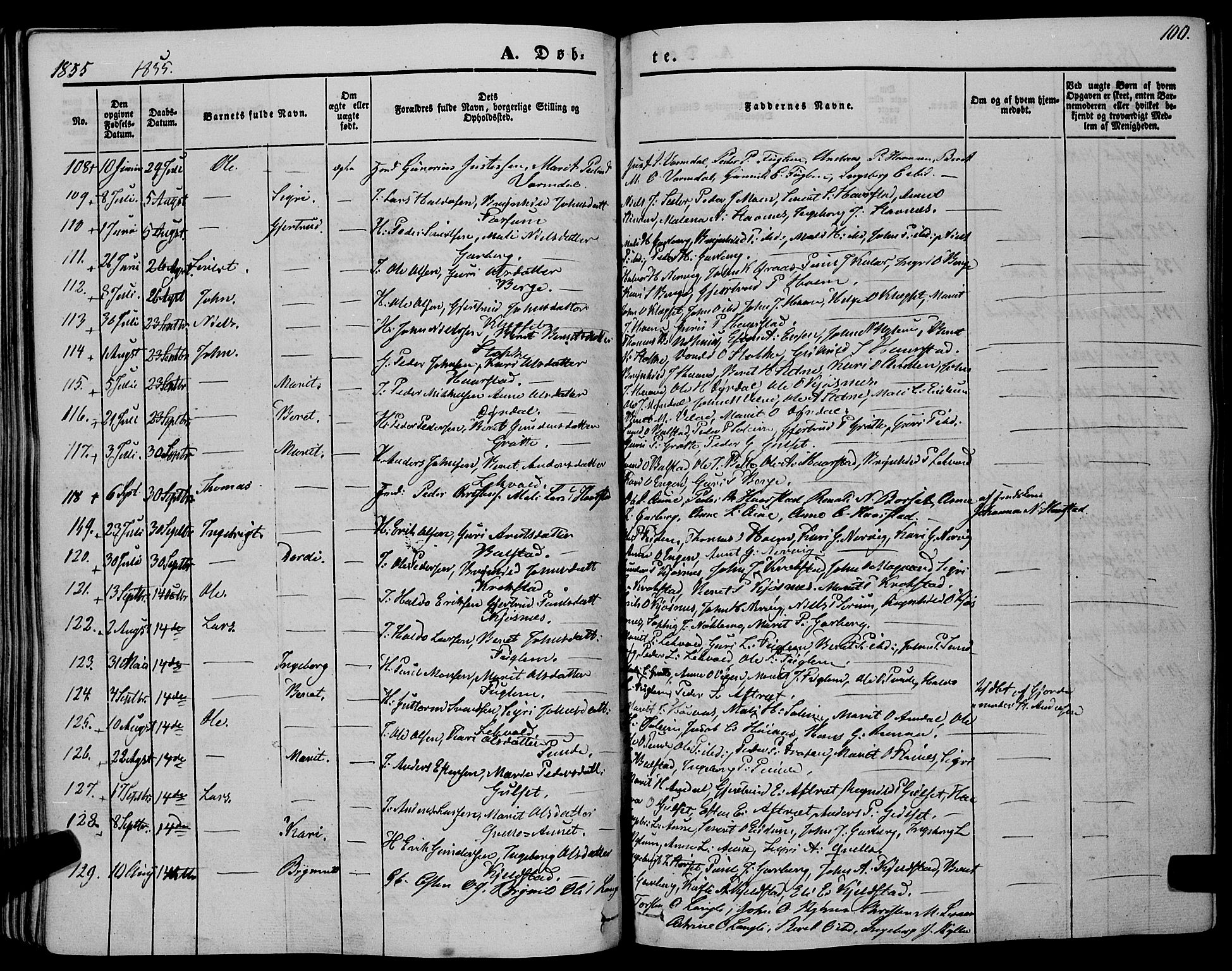 Ministerialprotokoller, klokkerbøker og fødselsregistre - Sør-Trøndelag, AV/SAT-A-1456/695/L1145: Parish register (official) no. 695A06 /1, 1843-1859, p. 100