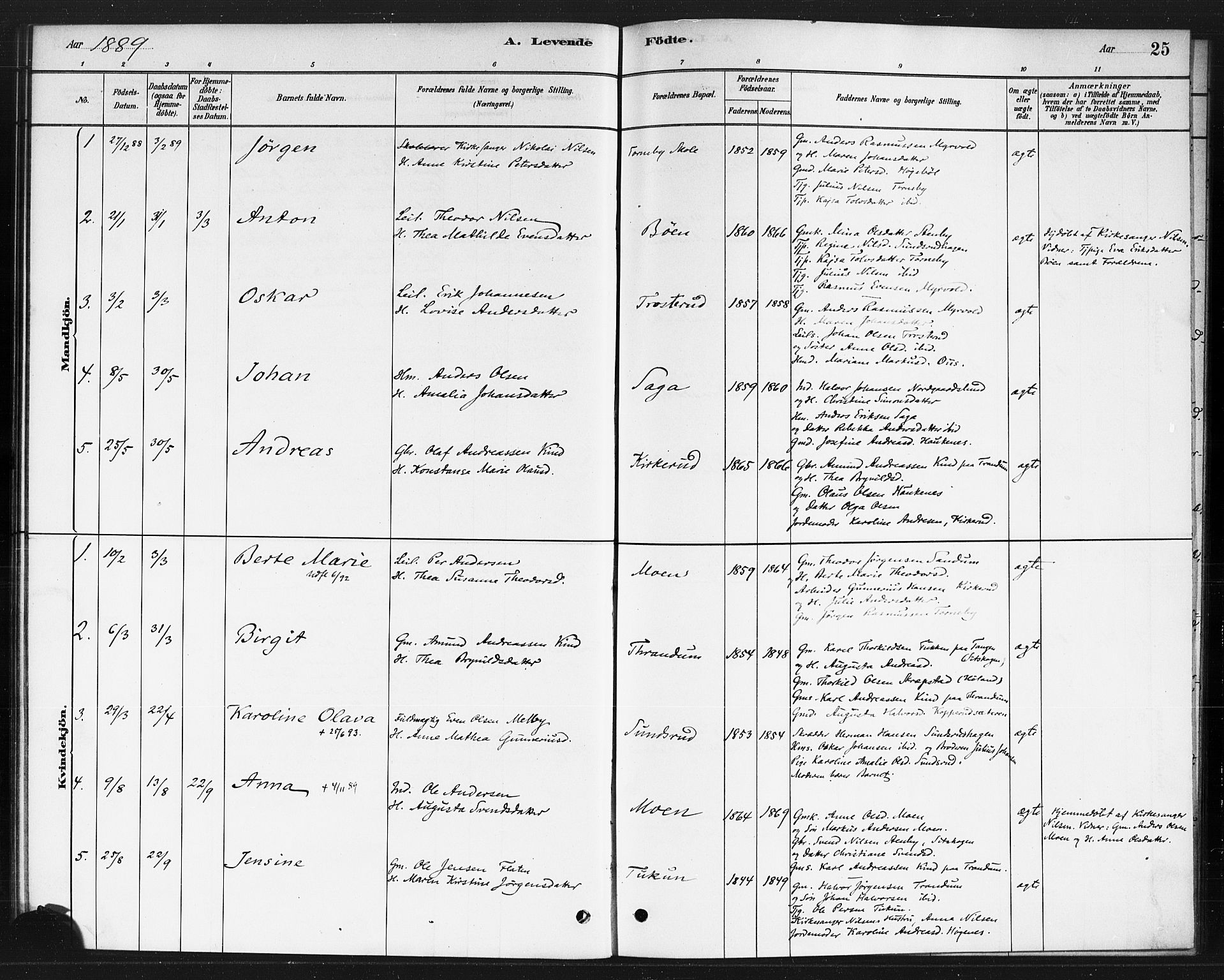 Rødenes prestekontor Kirkebøker, AV/SAO-A-2005/F/Fb/L0001: Parish register (official) no. II 1, 1880-1889, p. 25