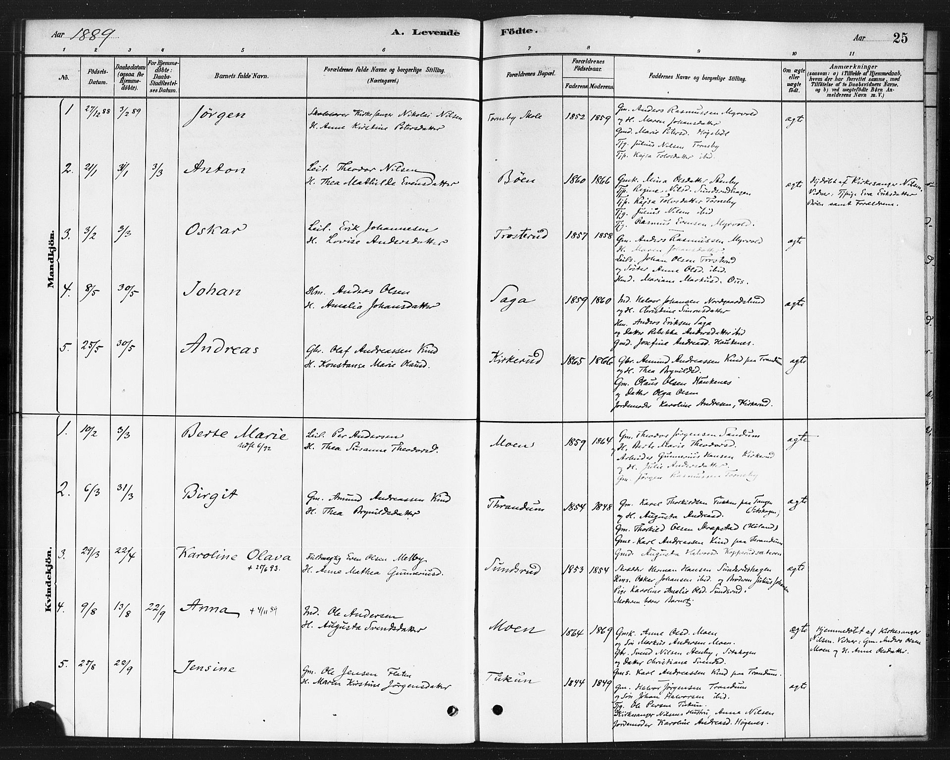 Rødenes prestekontor Kirkebøker, SAO/A-2005/F/Fb/L0001: Parish register (official) no. II 1, 1880-1889, p. 25