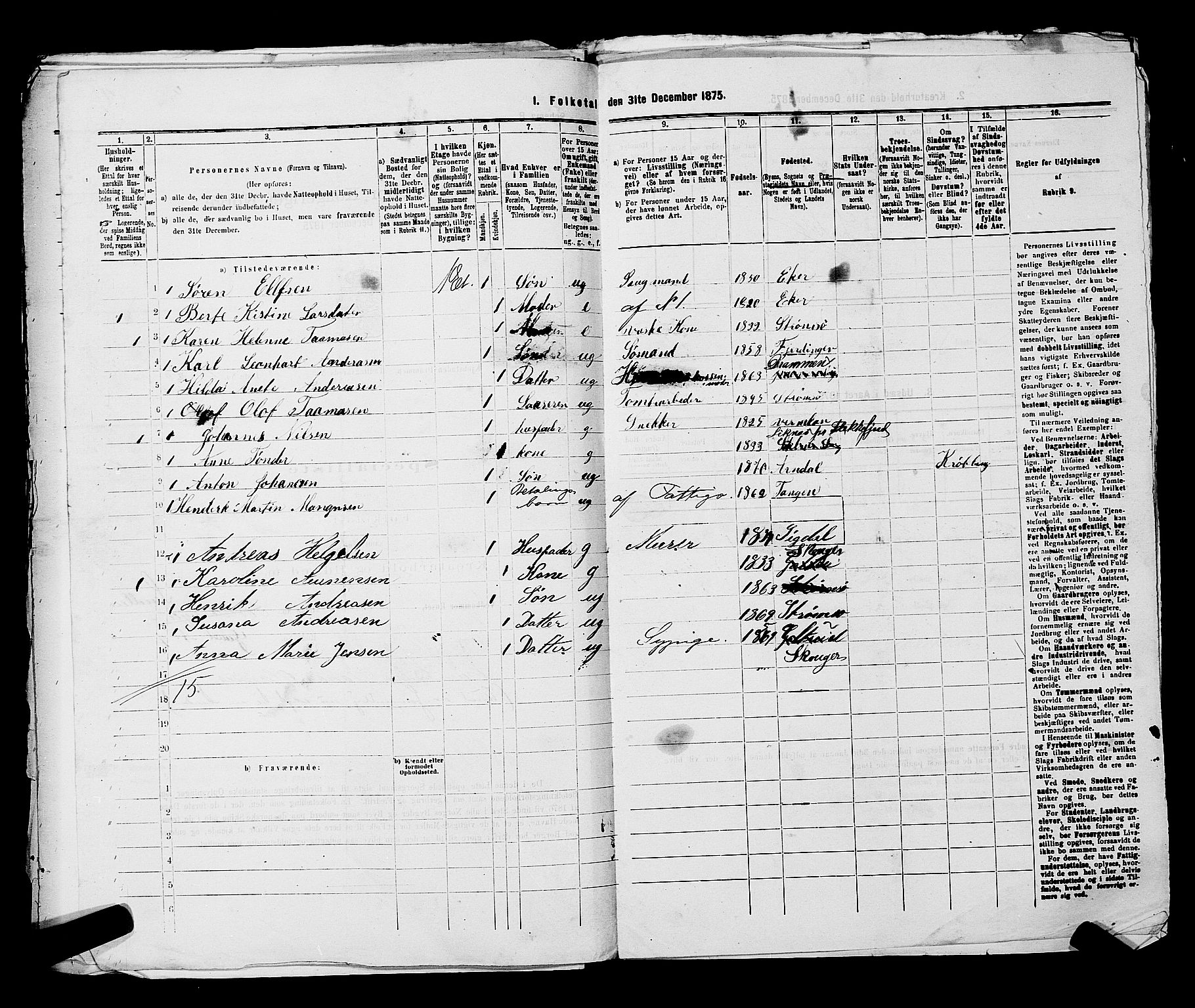 SAKO, 1875 census for 0602 Drammen, 1875, p. 3116