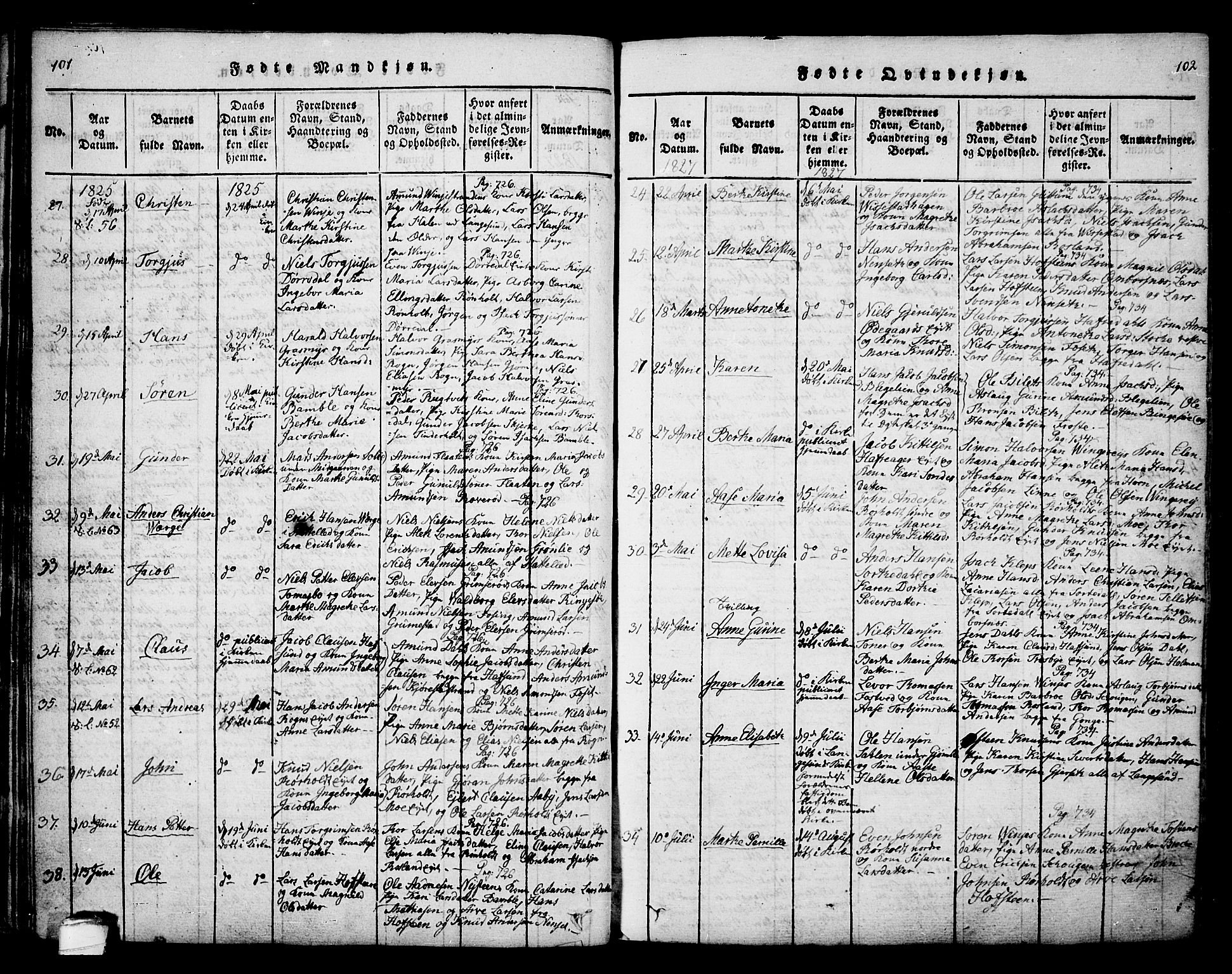 Bamble kirkebøker, AV/SAKO-A-253/F/Fa/L0003: Parish register (official) no. I 3 /1, 1814-1834, p. 101-102