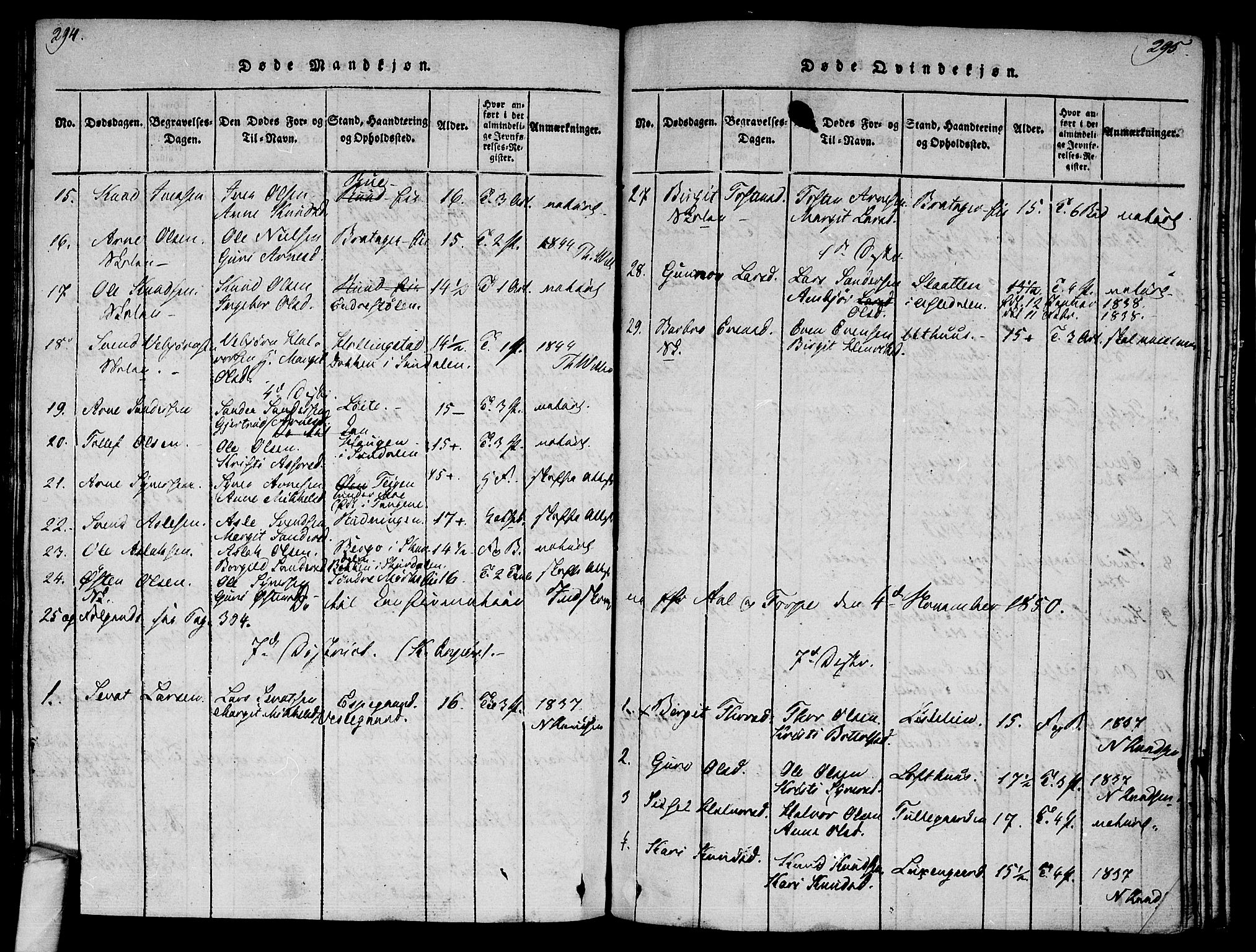 Ål kirkebøker, AV/SAKO-A-249/F/Fa/L0004: Parish register (official) no. I 4, 1815-1825, p. 294-295