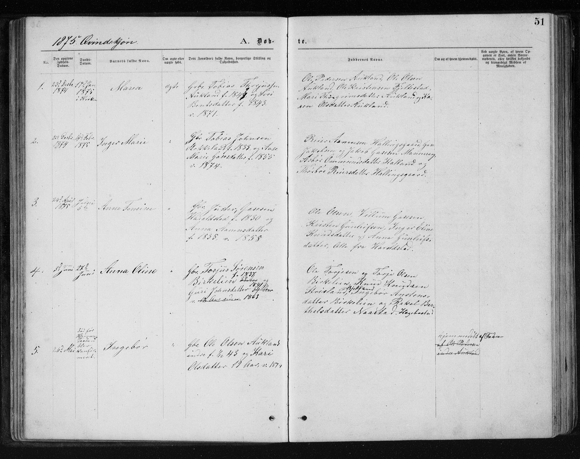 Holum sokneprestkontor, SAK/1111-0022/F/Fb/Fbb/L0003: Parish register (copy) no. B 3, 1875-1898, p. 51