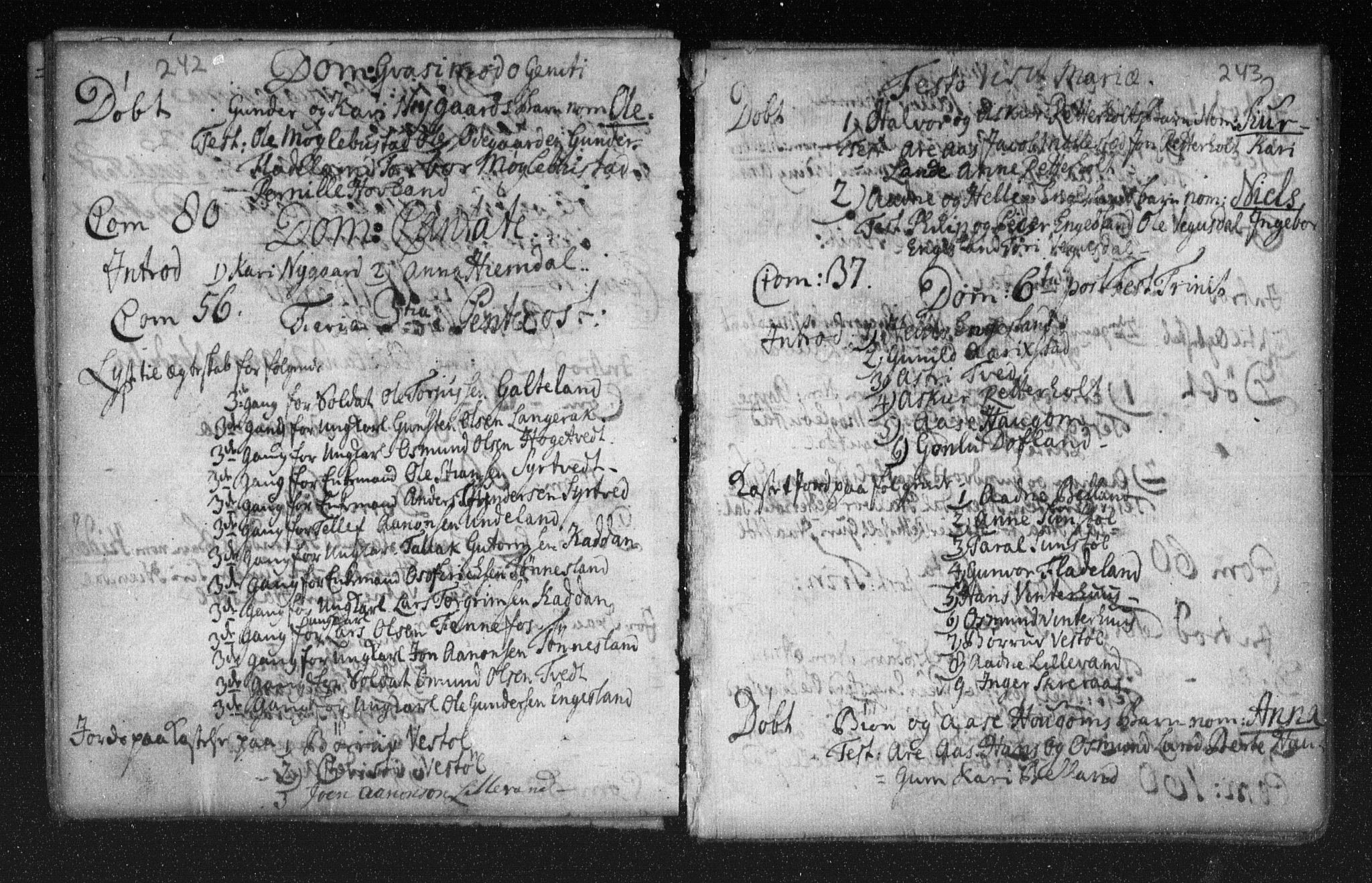 Herefoss sokneprestkontor, AV/SAK-1111-0019/F/Fa/Fab/L0001: Parish register (official) no. A 1, 1704-1779, p. 242-243