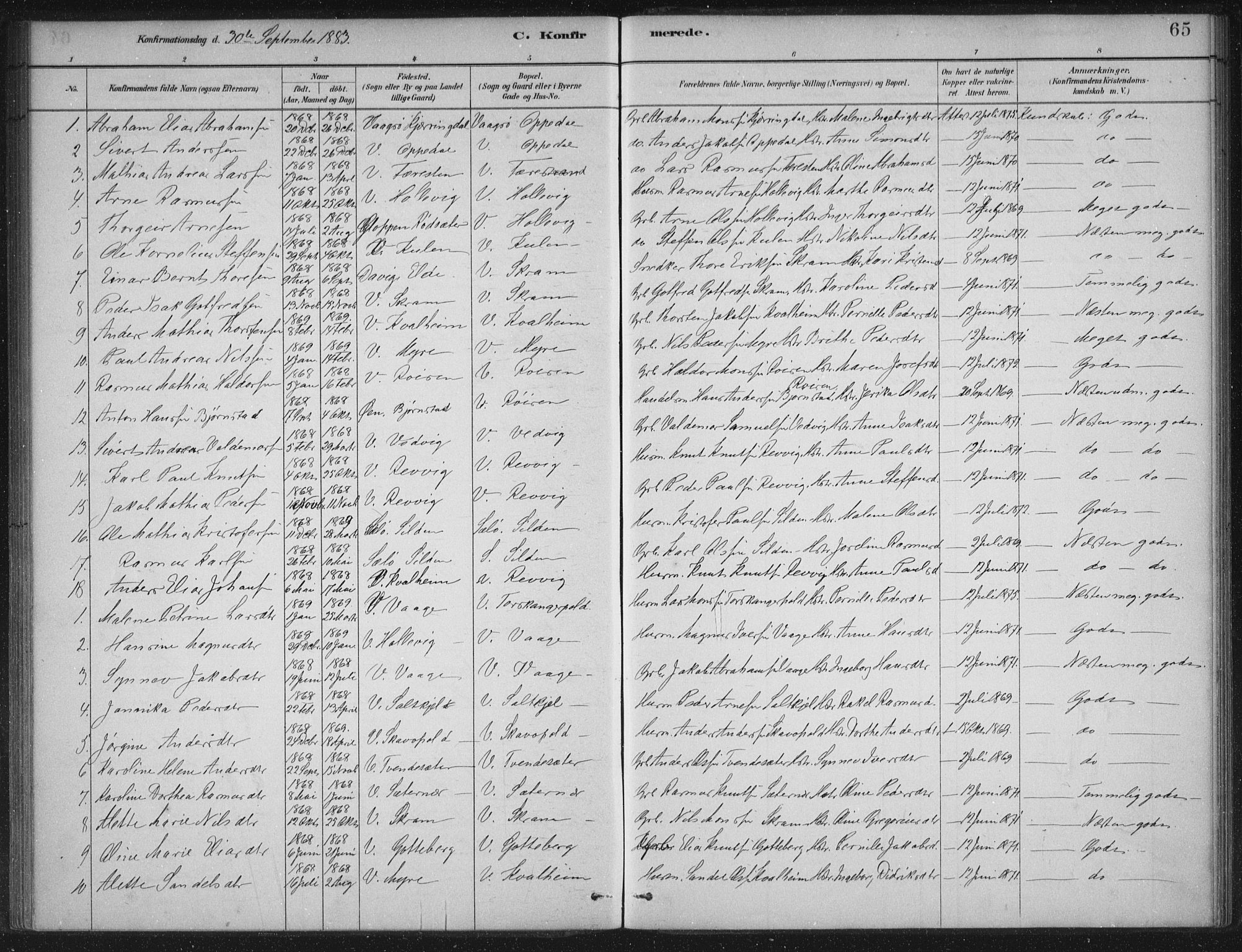 Selje sokneprestembete, AV/SAB-A-99938/H/Ha/Haa/Haac/L0001: Parish register (official) no. C  1, 1881-1888, p. 65