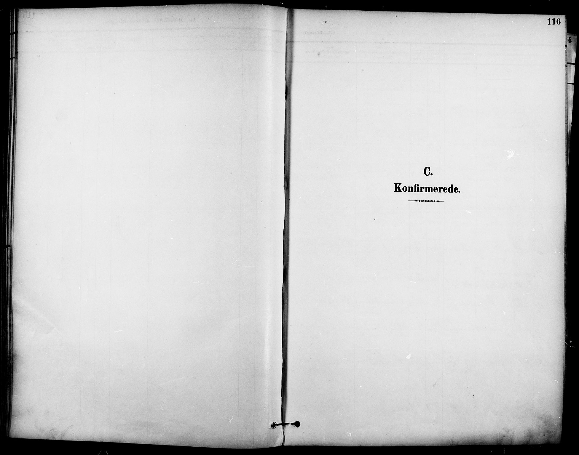 Garnisonsmenigheten Kirkebøker, SAO/A-10846/F/Fa/L0013: Parish register (official) no. 13, 1894-1904, p. 116