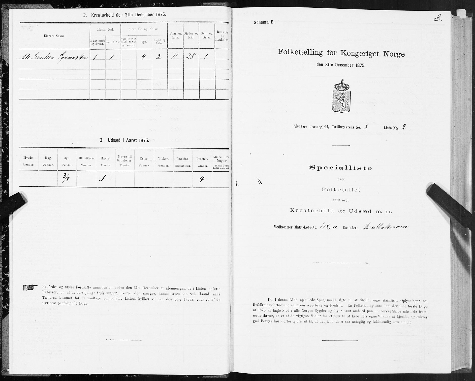 SAT, 1875 census for 1632P Bjørnør, 1875, p. 4003