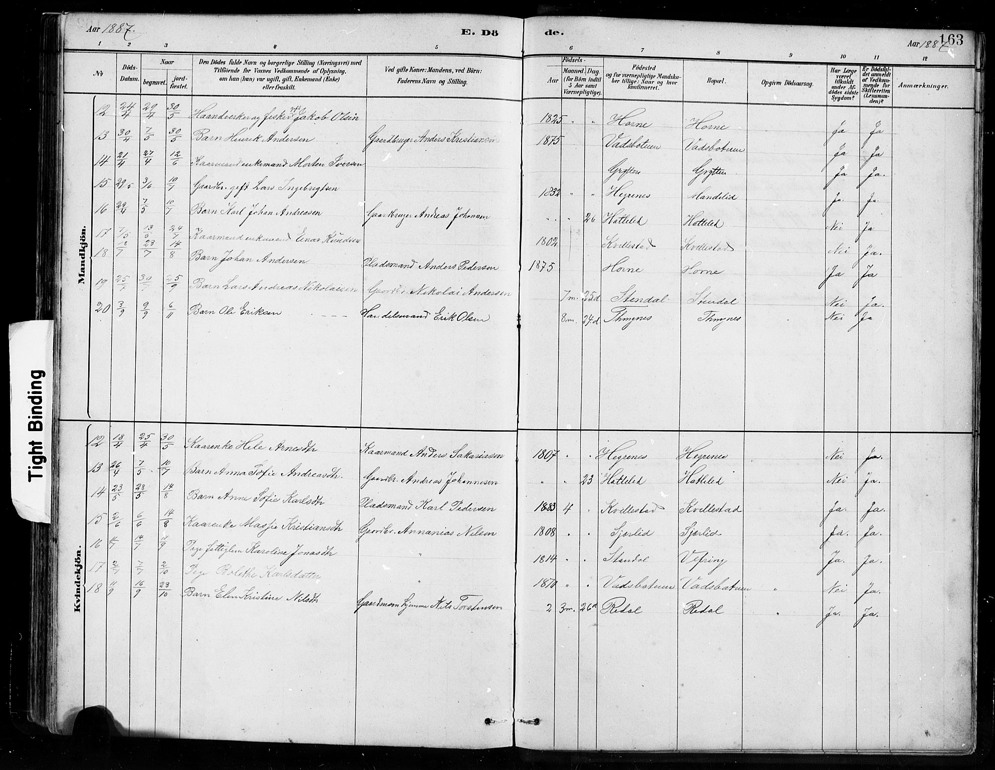 Førde sokneprestembete, AV/SAB-A-79901/H/Hab/Habe/L0001: Parish register (copy) no. E 1, 1881-1920, p. 163