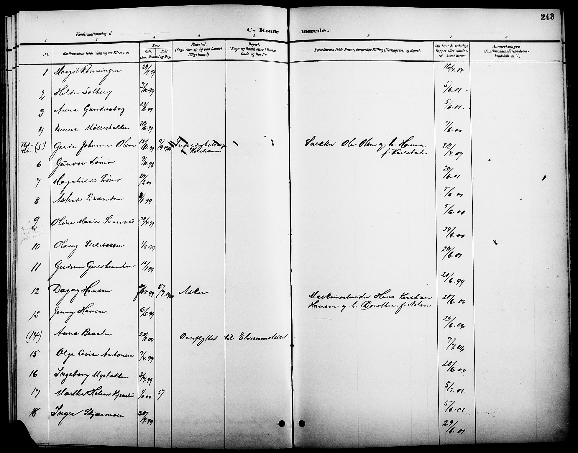 Elverum prestekontor, AV/SAH-PREST-044/H/Ha/Hab/L0005: Parish register (copy) no. 5, 1896-1915, p. 243