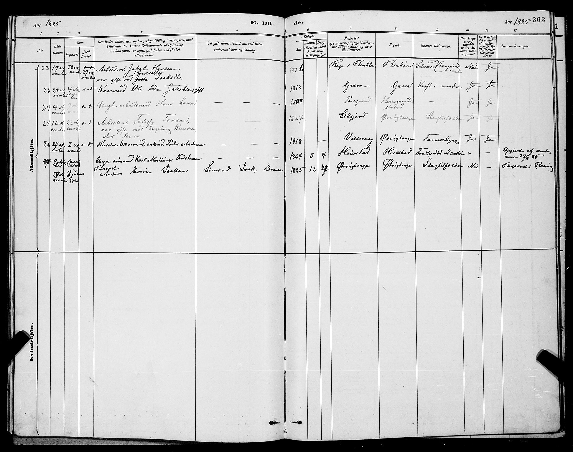 Eidanger kirkebøker, SAKO/A-261/G/Ga/L0002: Parish register (copy) no. 2, 1879-1892, p. 263
