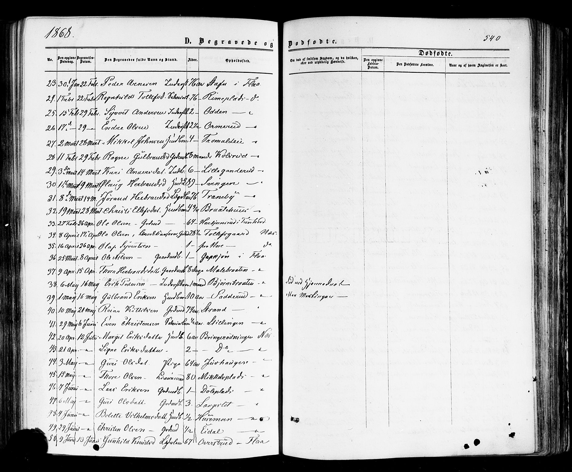 Nes kirkebøker, AV/SAKO-A-236/F/Fa/L0010: Parish register (official) no. 10, 1864-1880, p. 540