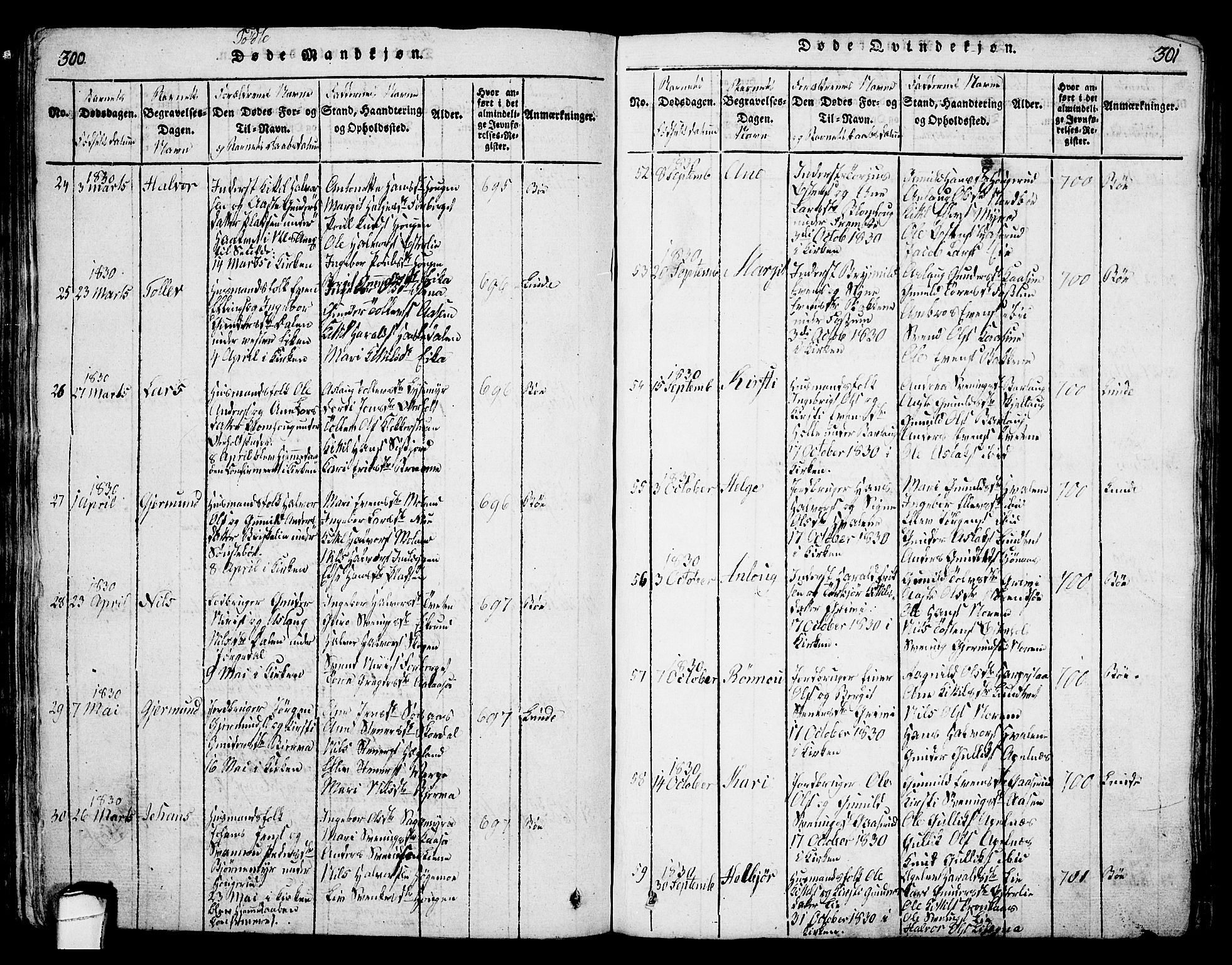 Bø kirkebøker, SAKO/A-257/G/Ga/L0001: Parish register (copy) no. 1, 1815-1831, p. 300-301