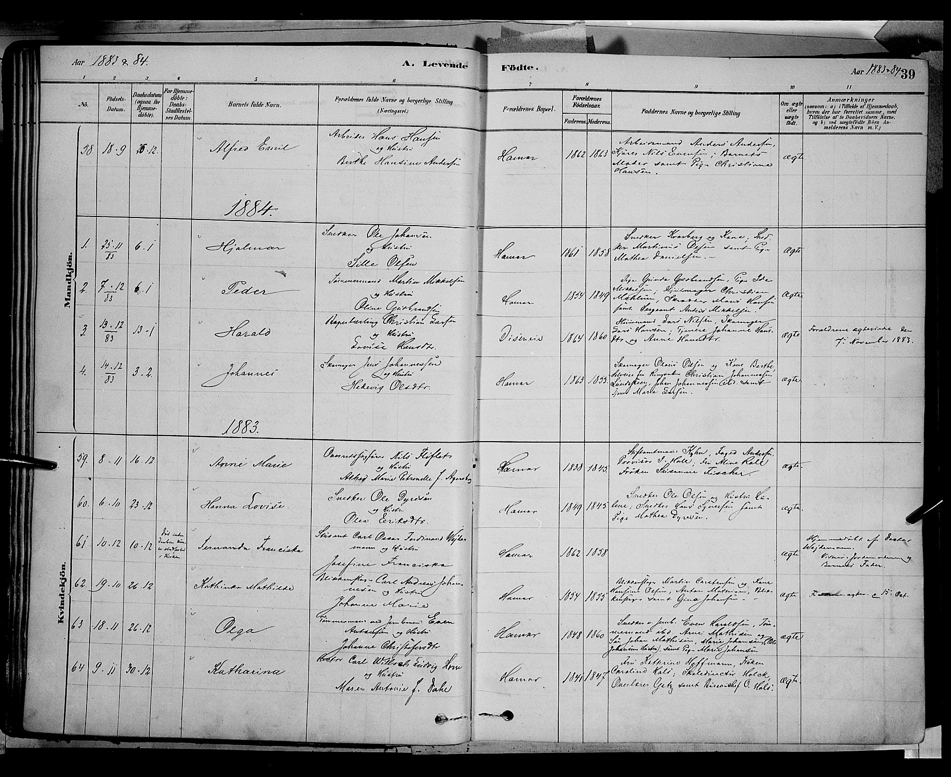 Vang prestekontor, Hedmark, SAH/PREST-008/H/Ha/Haa/L0016: Parish register (official) no. 16, 1878-1889, p. 39