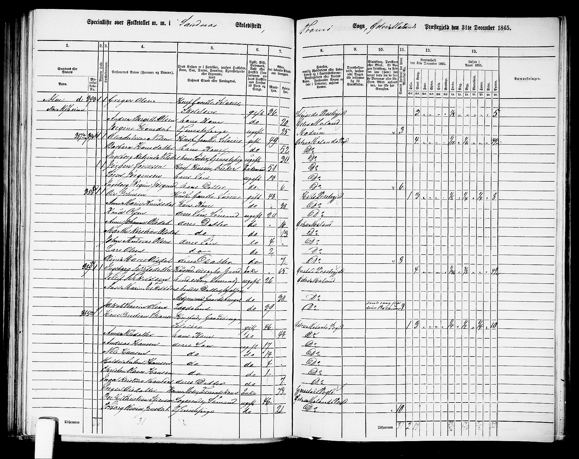 RA, 1865 census for Austre Moland, 1865, p. 207