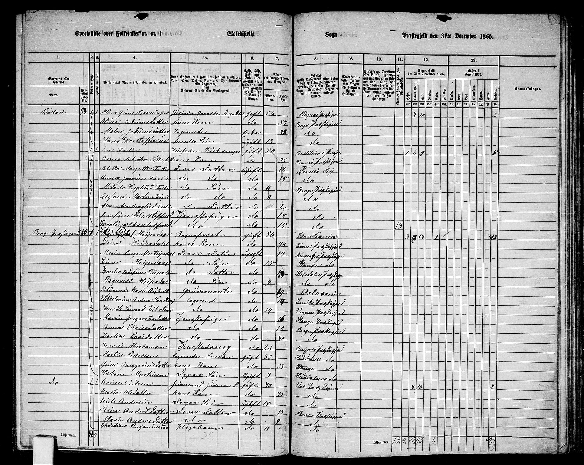 RA, 1865 census for Borge, 1865, p. 25