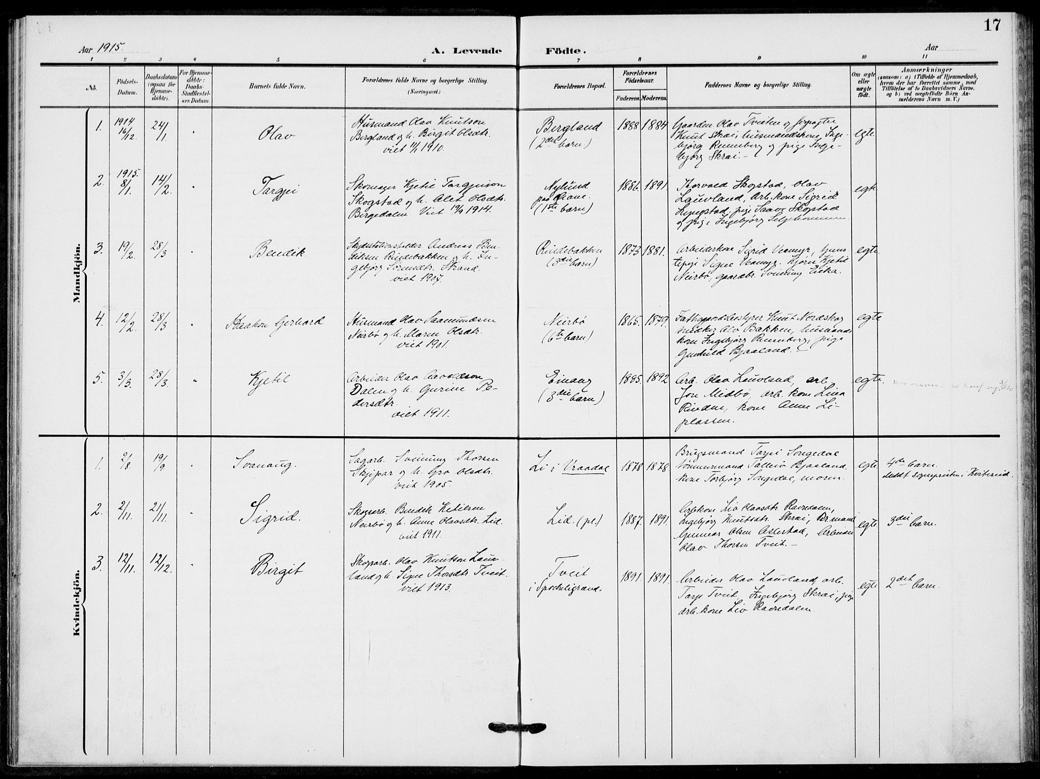 Fyresdal kirkebøker, AV/SAKO-A-263/F/Fb/L0004: Parish register (official) no. II 4, 1903-1920, p. 17