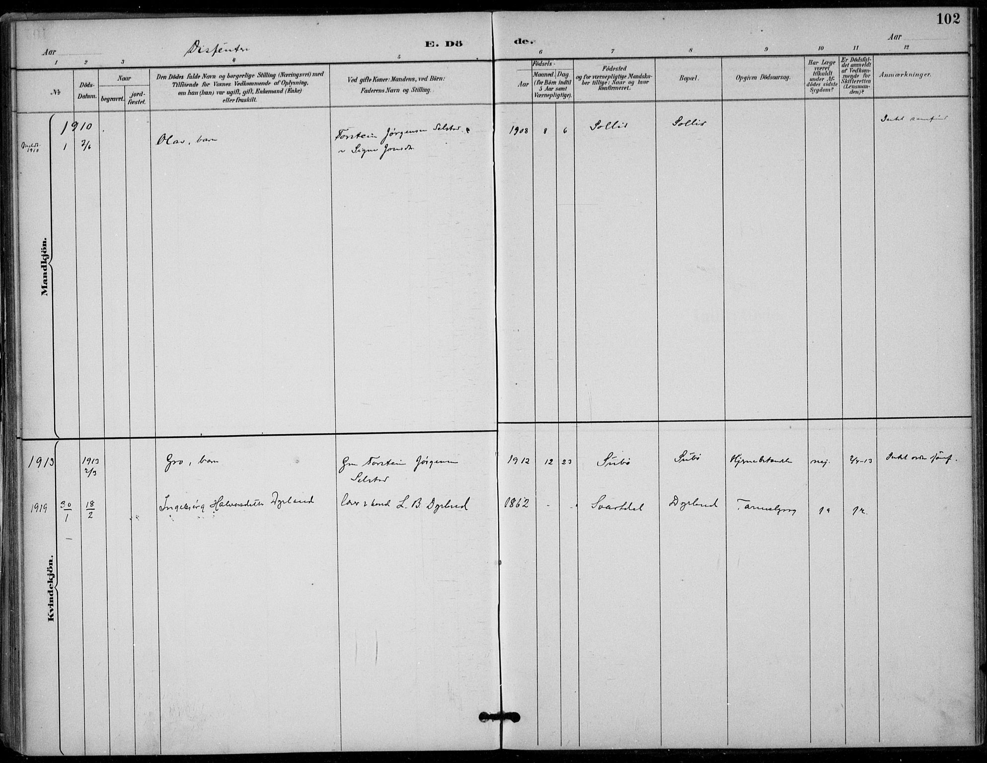 Seljord kirkebøker, SAKO/A-20/F/Fc/L0002: Parish register (official) no. III 2, 1887-1920, p. 102