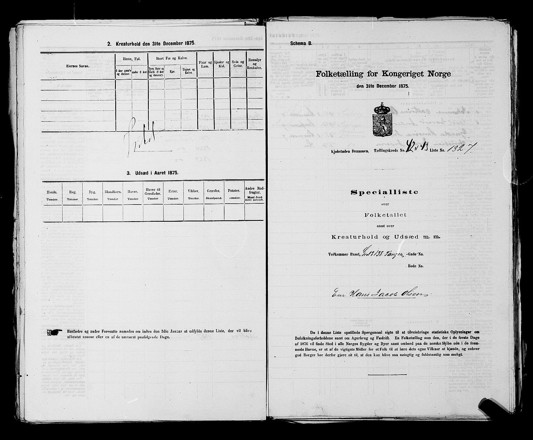 SAKO, 1875 census for 0602 Drammen, 1875, p. 3600