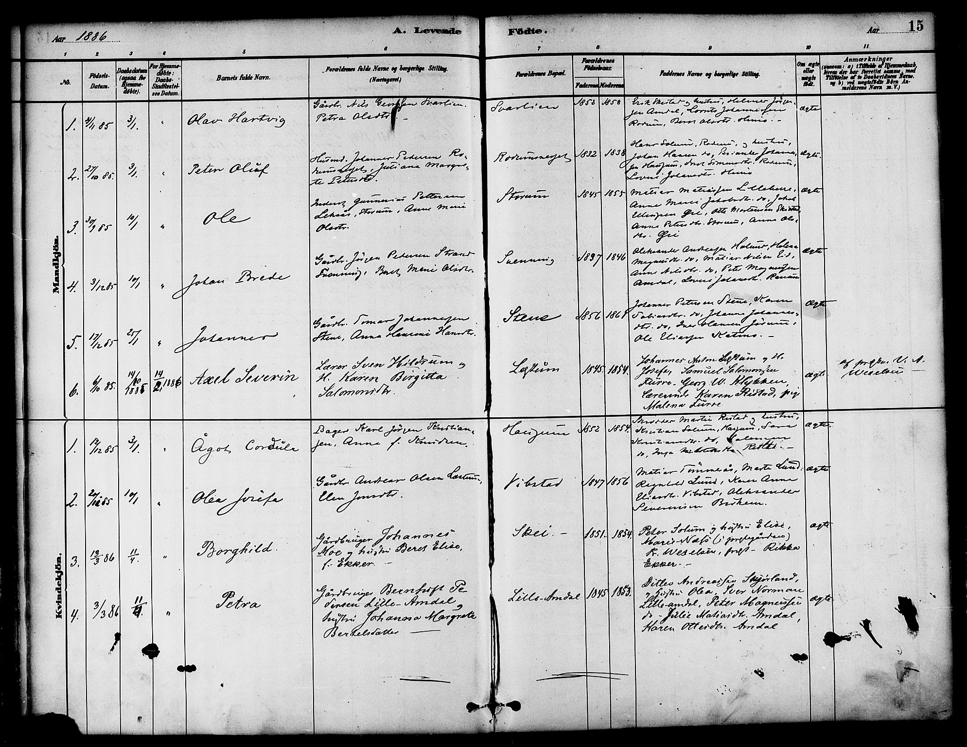 Ministerialprotokoller, klokkerbøker og fødselsregistre - Nord-Trøndelag, SAT/A-1458/764/L0555: Parish register (official) no. 764A10, 1881-1896, p. 15